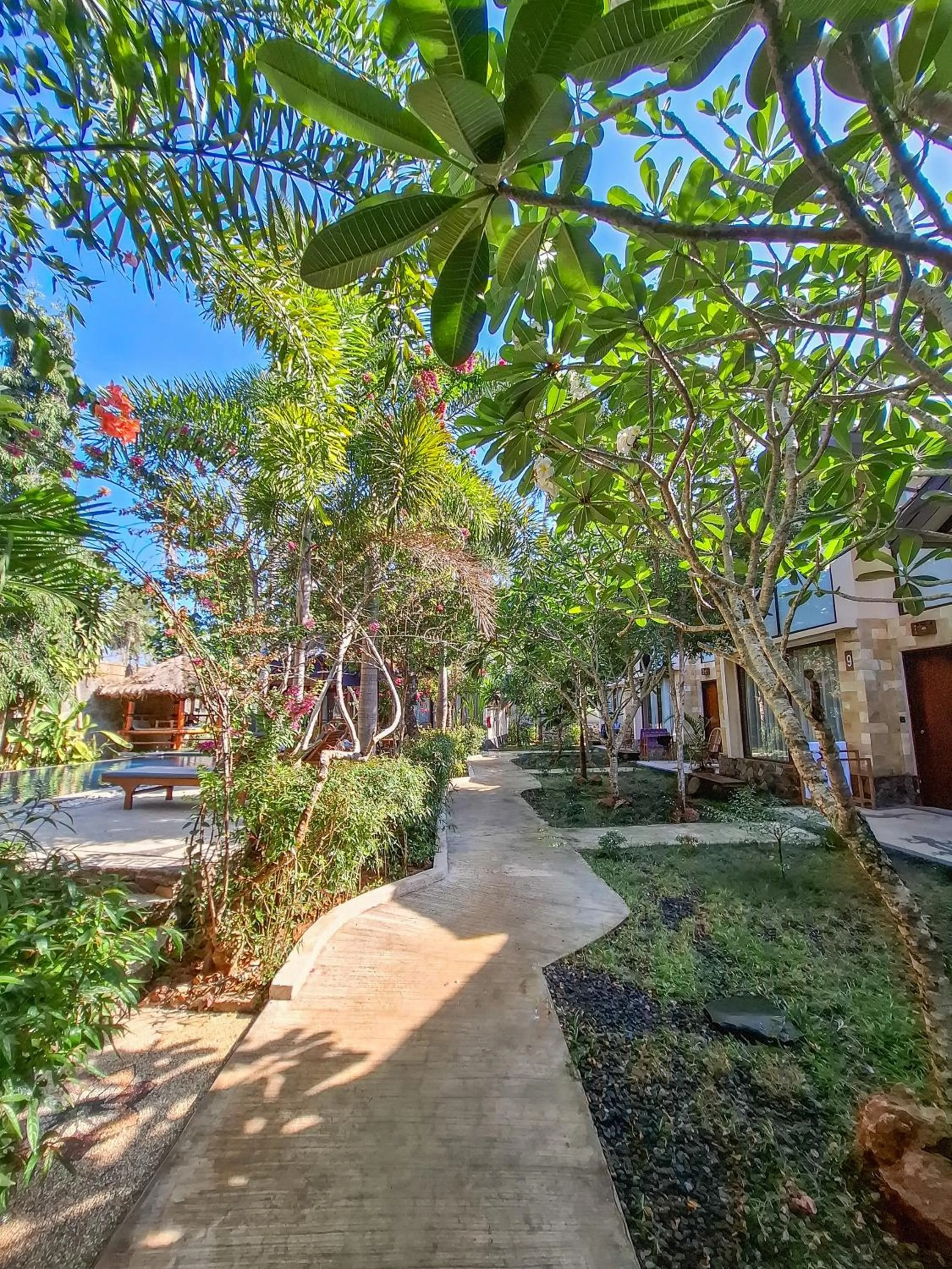 Garden view in RaCottage Mandalika