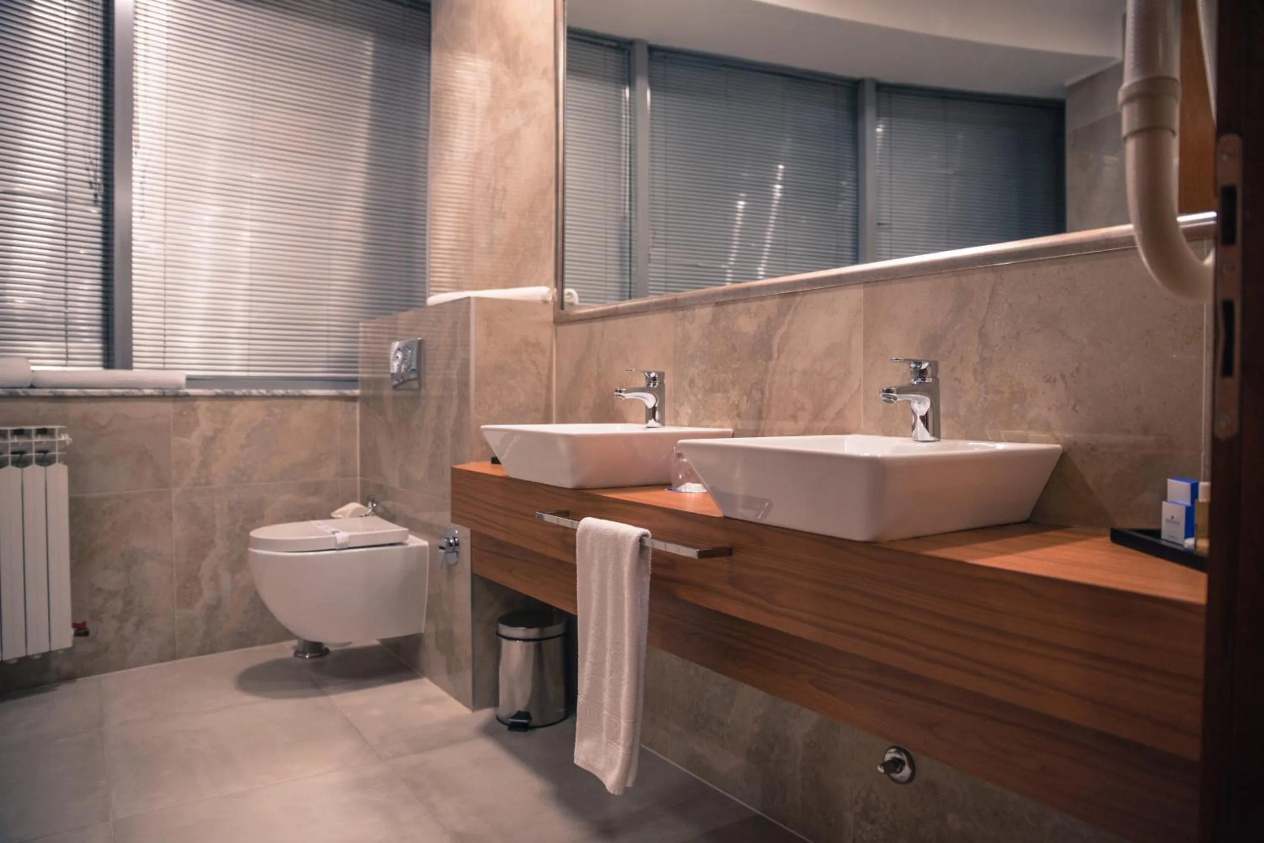 Toilet in Radon Plaza