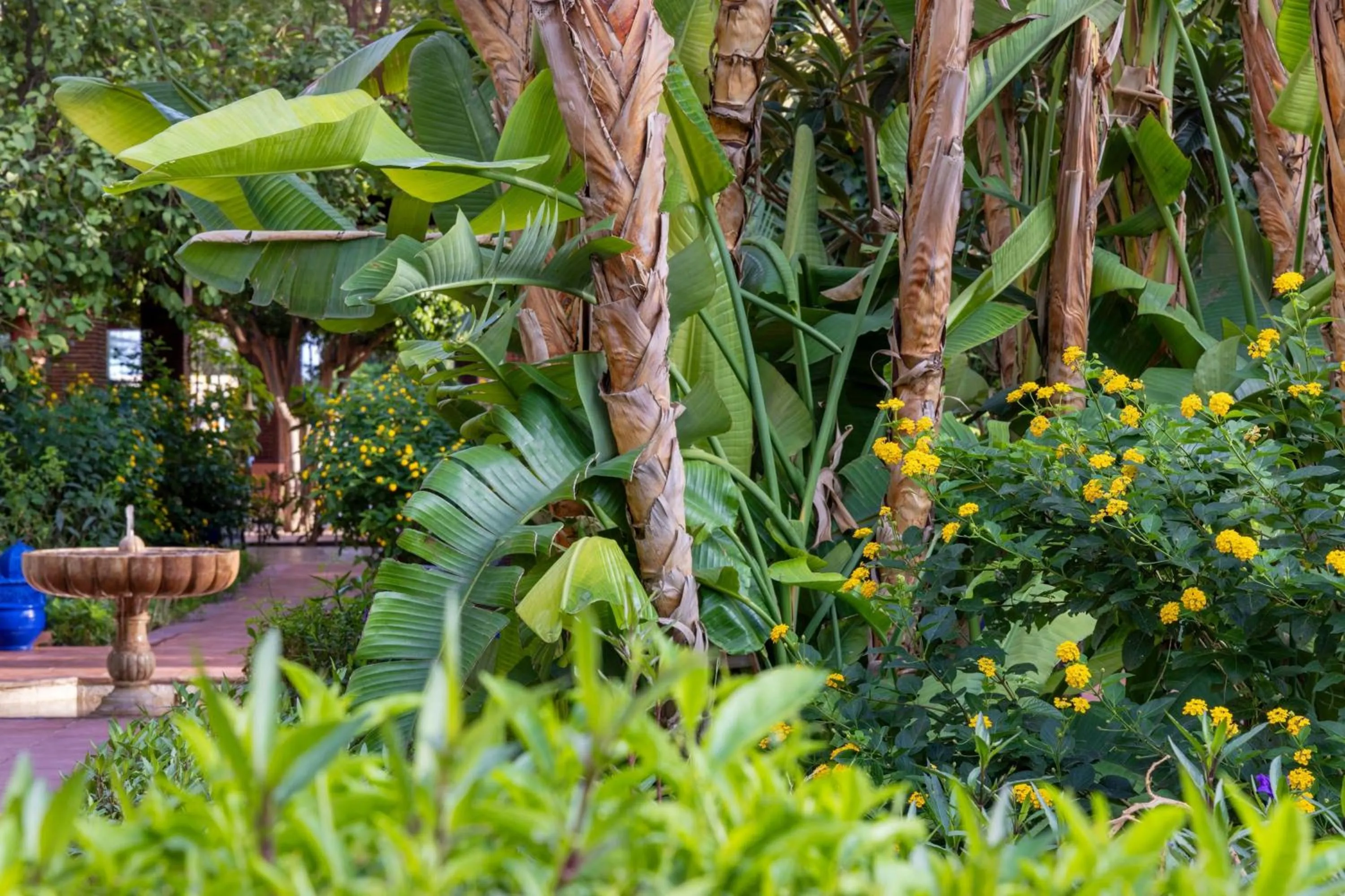 Other in Le Meridien N'fis