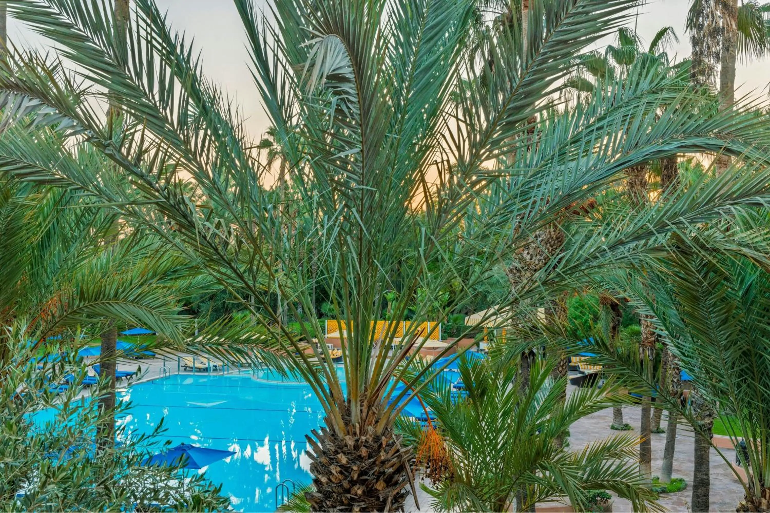 Photo of the whole room in Le Meridien N'fis