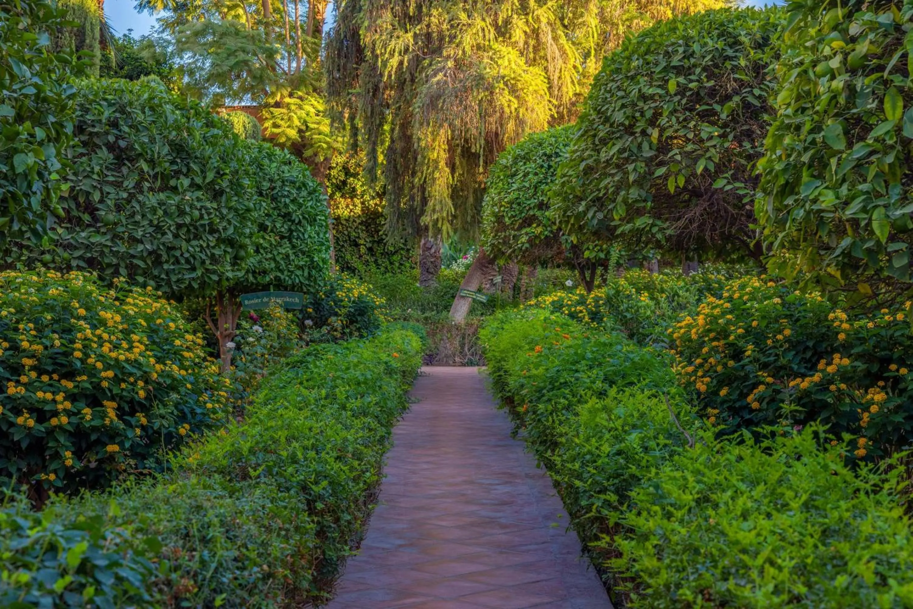 Other in Le Meridien N'fis