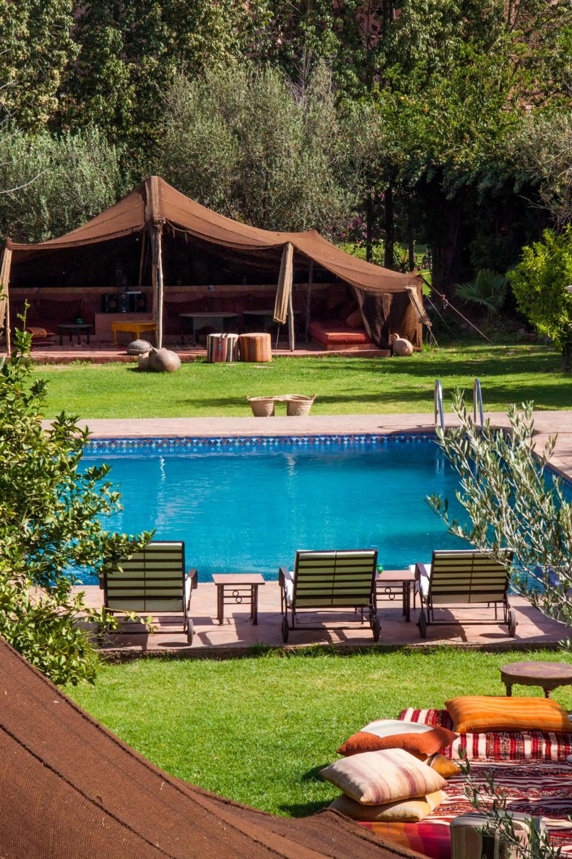 Swimming pool in Jnane Leila