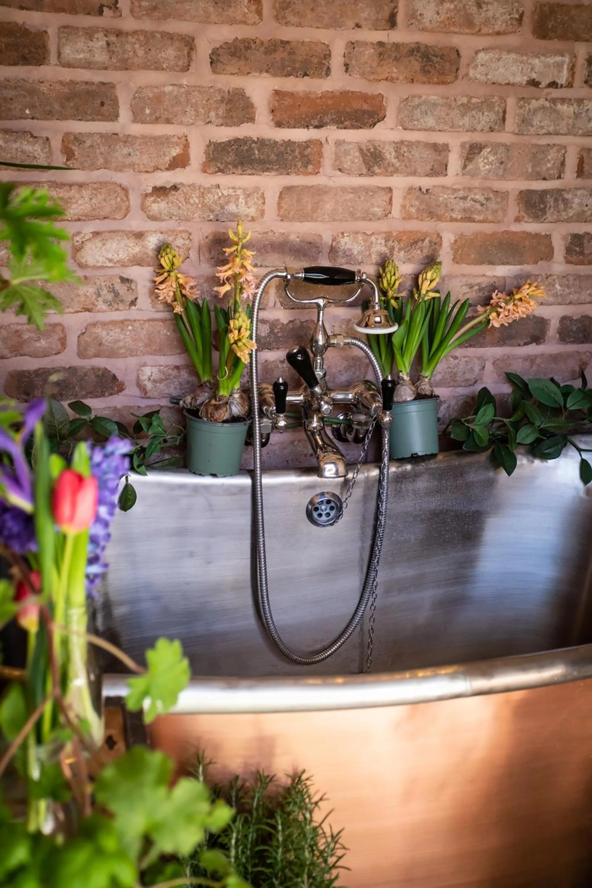 Garden in The Walled Garden at Cheshire Boutique Bathhouse