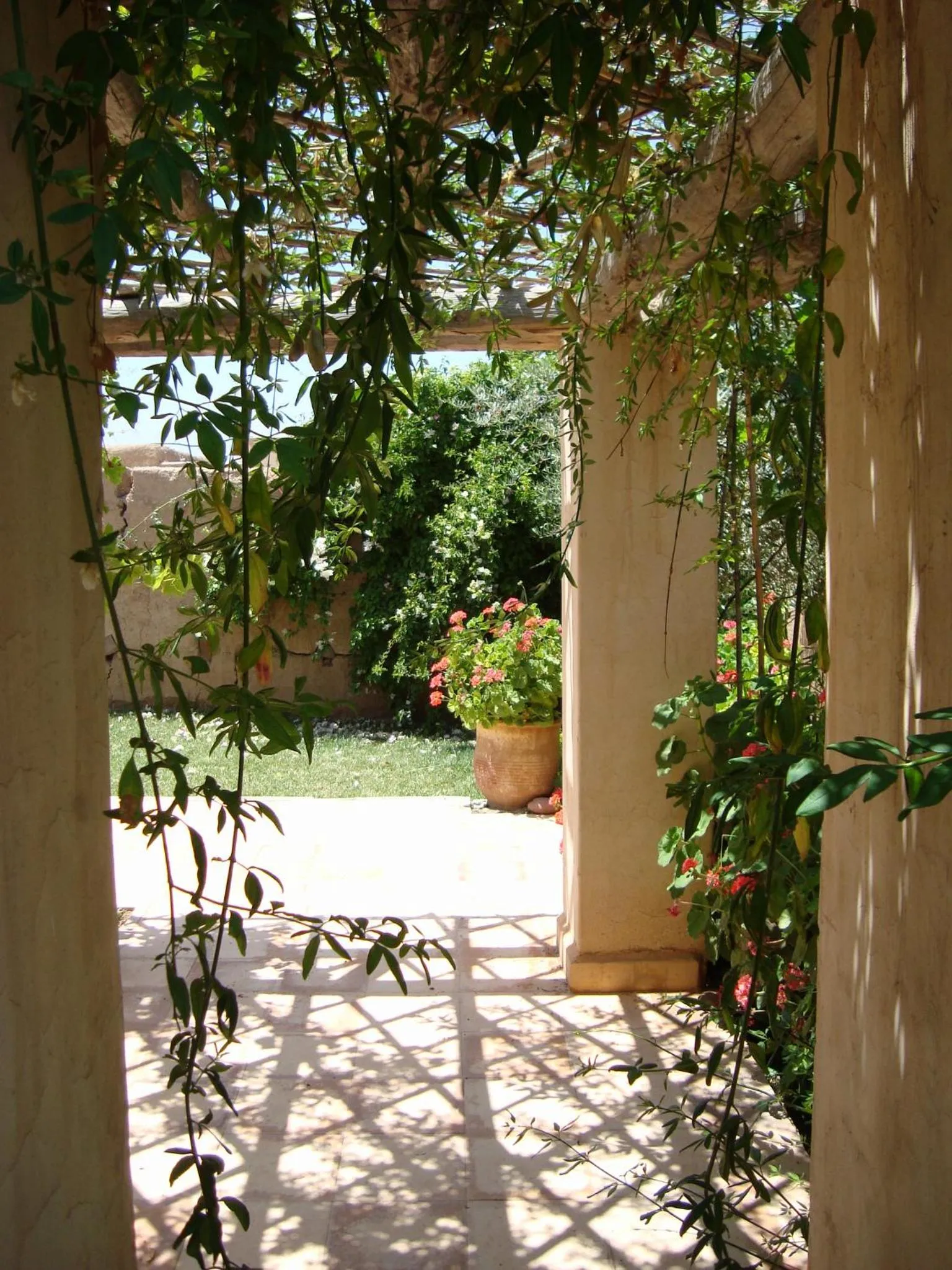 Garden in Jnane Tihihit