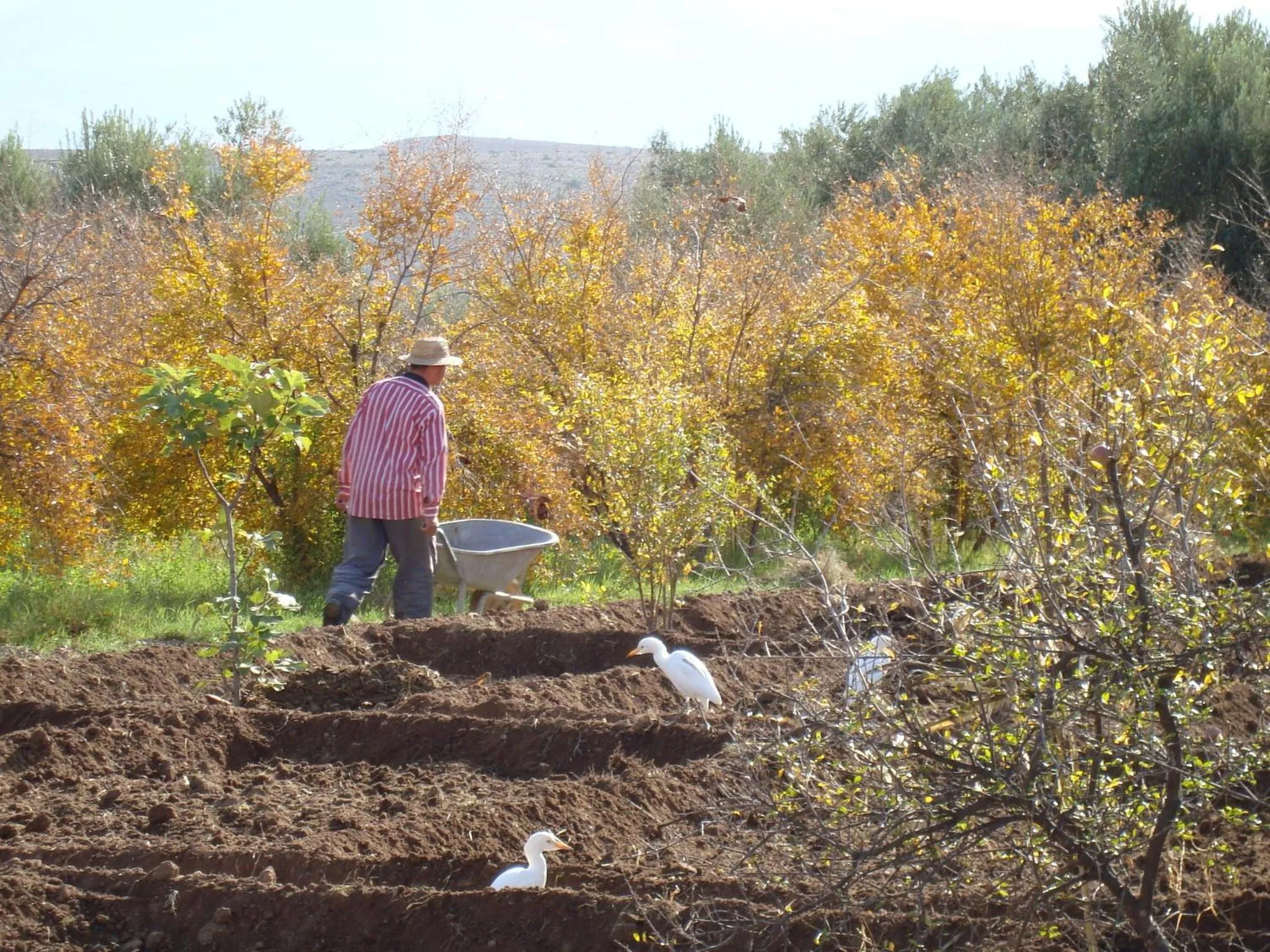 People in Jnane Tihihit