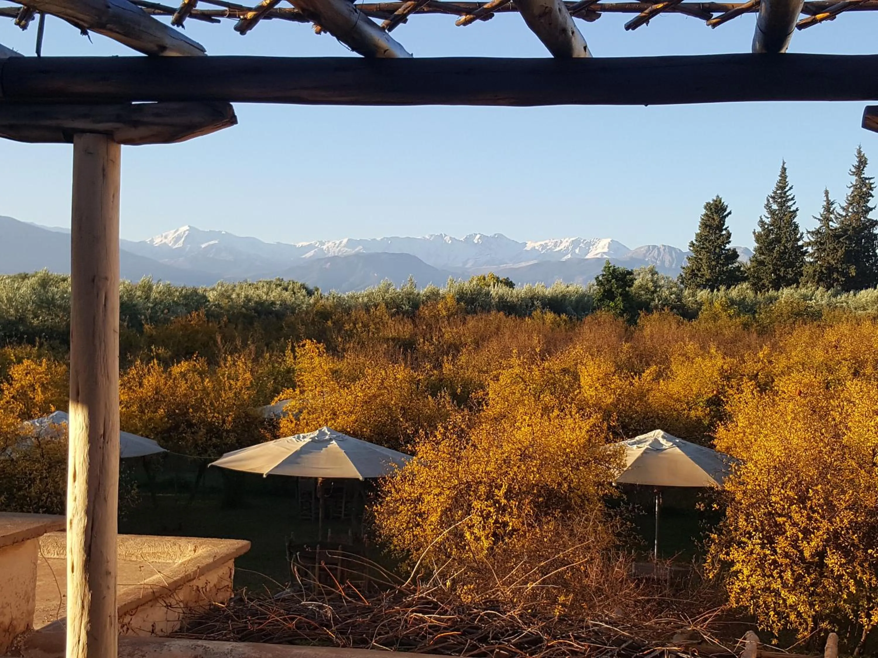 Garden view in Jnane Tihihit