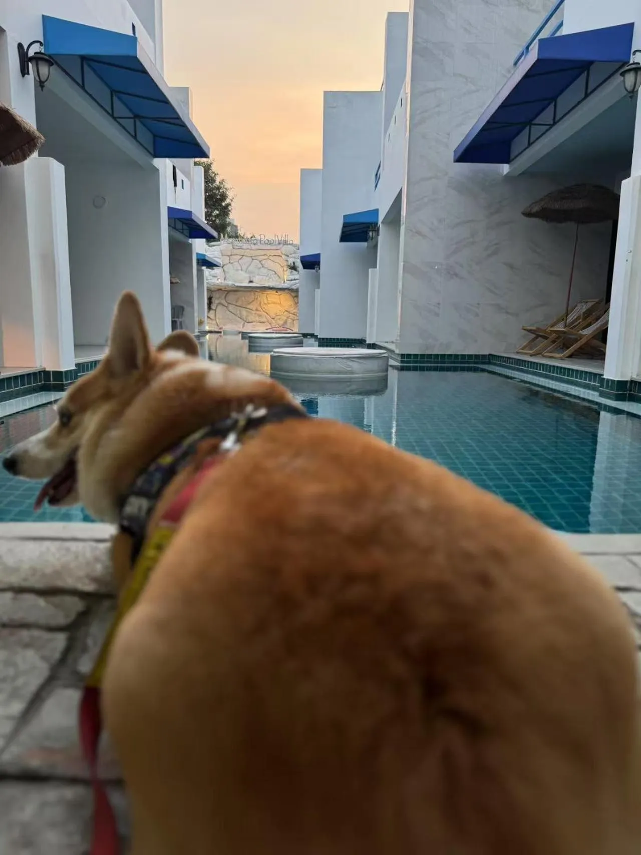 Mona Lisa pool villa