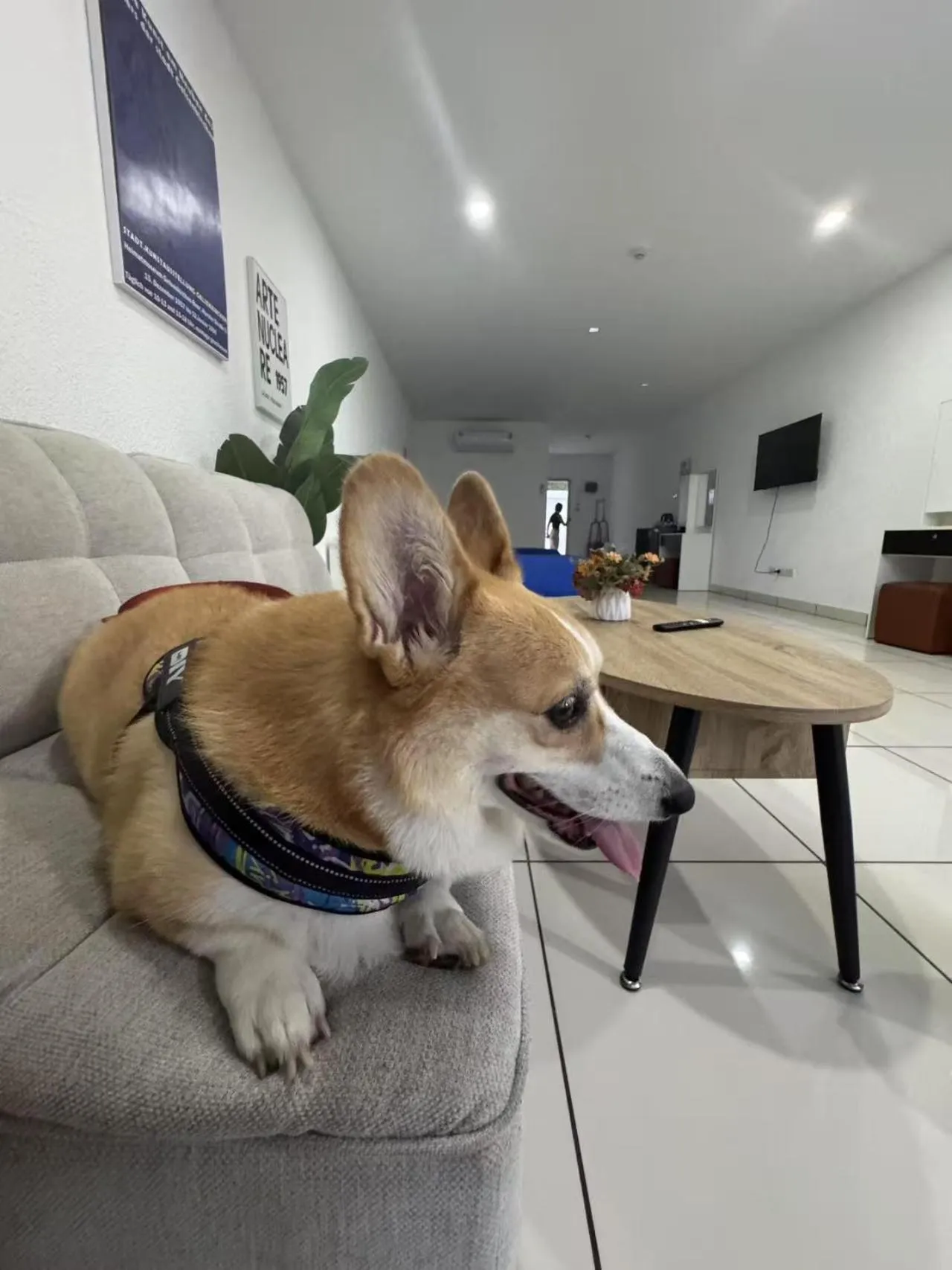 Mona Lisa pool villa