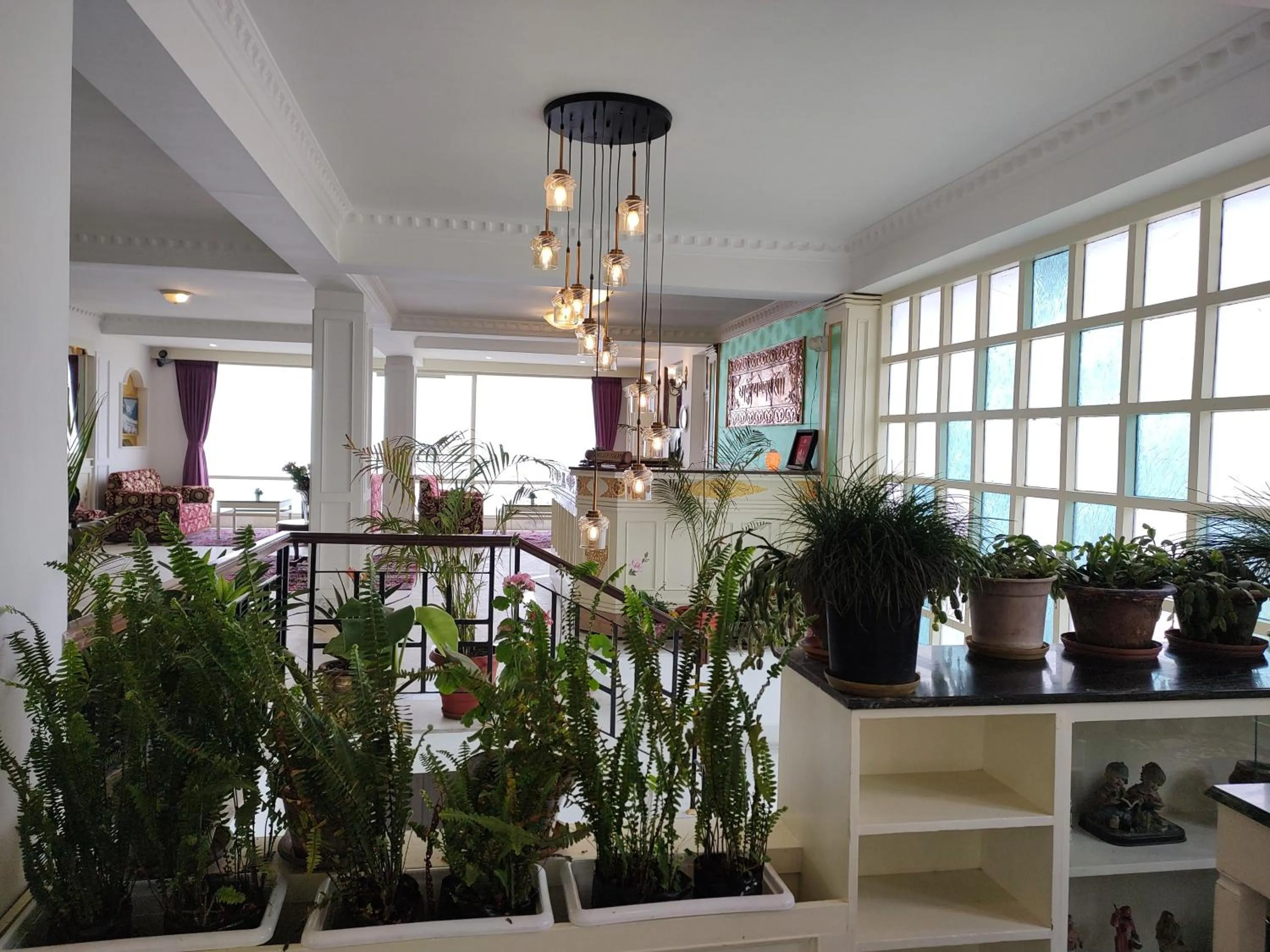 Lobby or reception in Treenz Lite