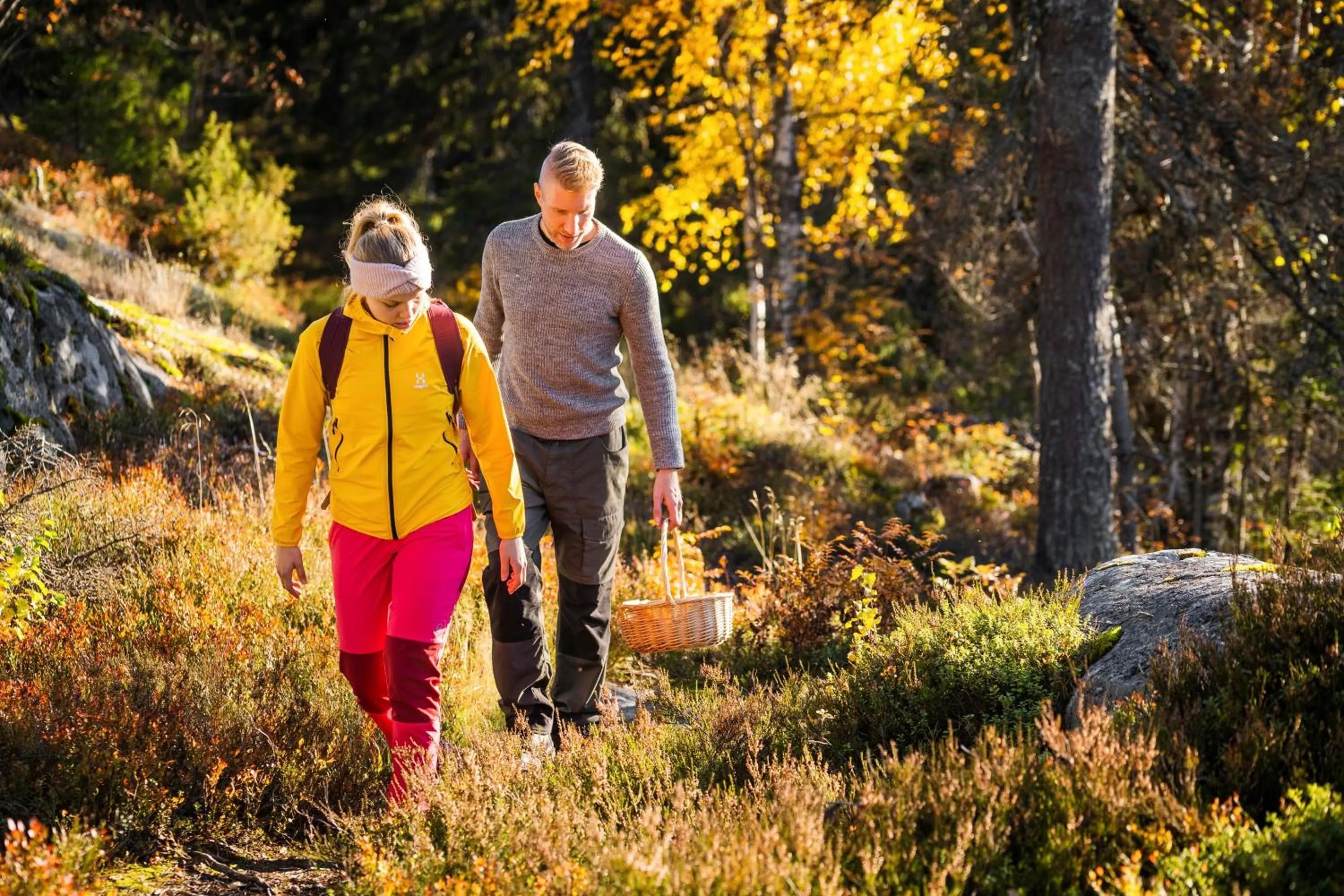 Natural landscape in Break Sokos Hotel Koli Kylä