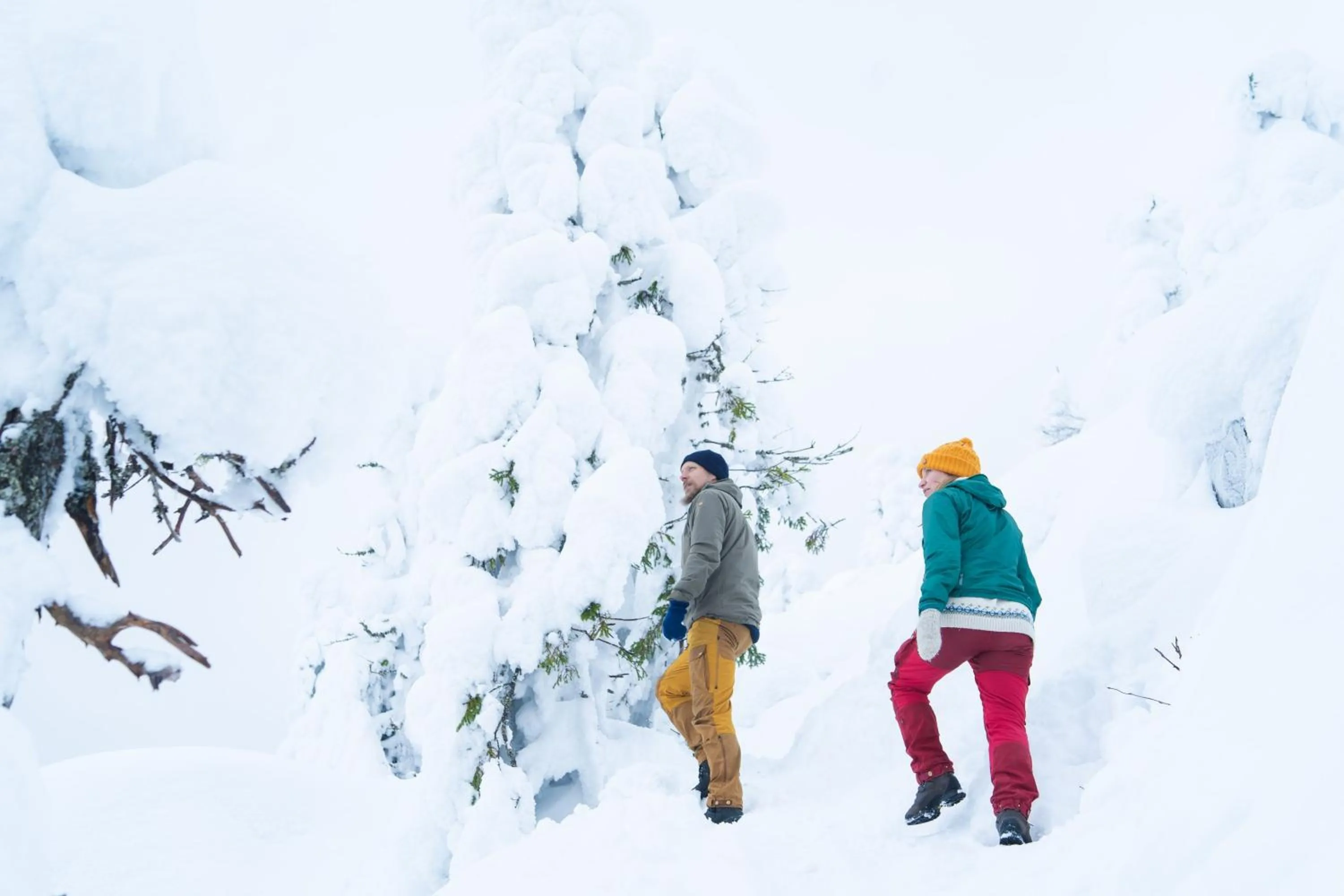 Natural landscape in Break Sokos Hotel Koli Kylä