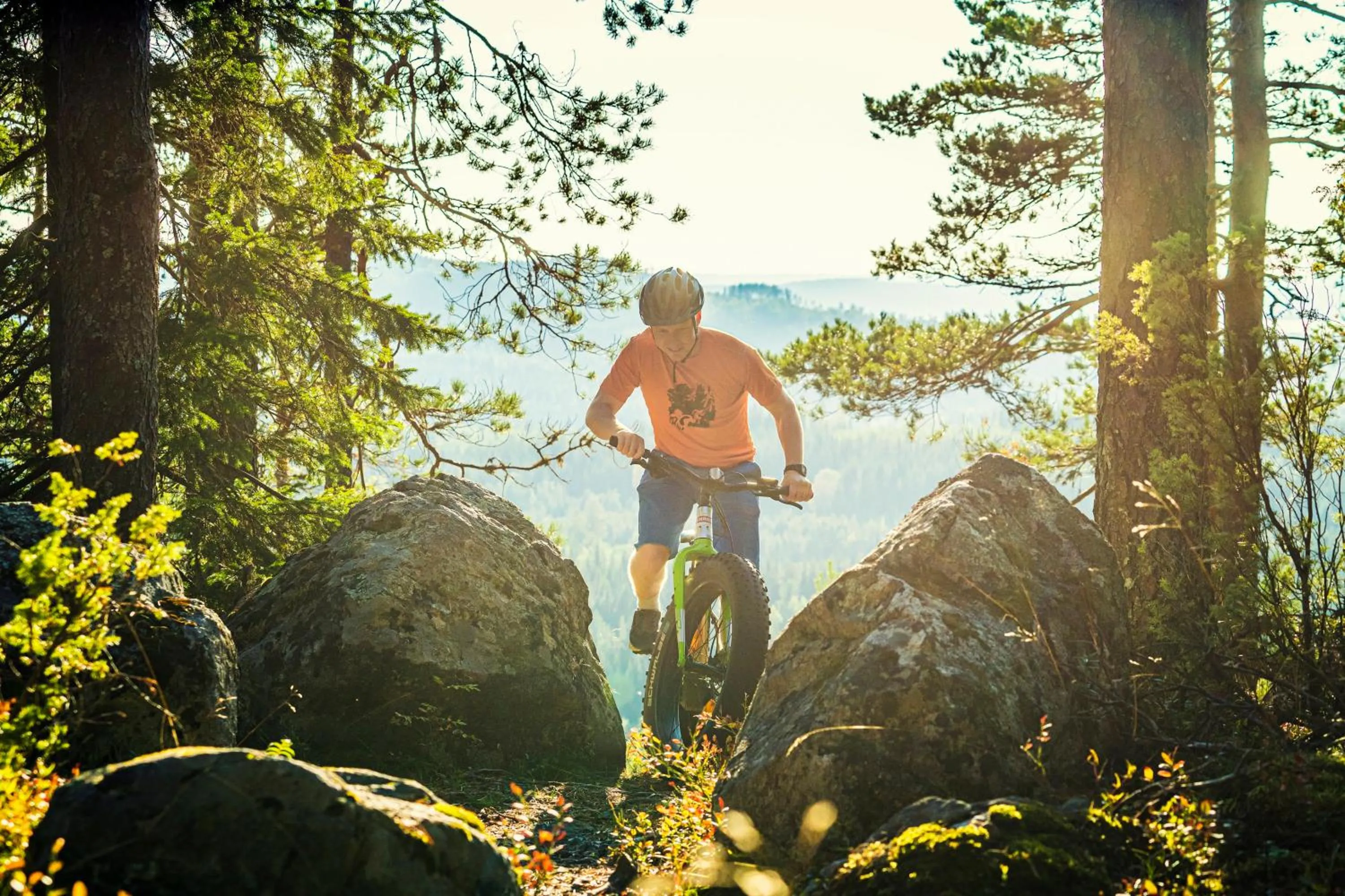 Natural landscape in Break Sokos Hotel Koli Kylä