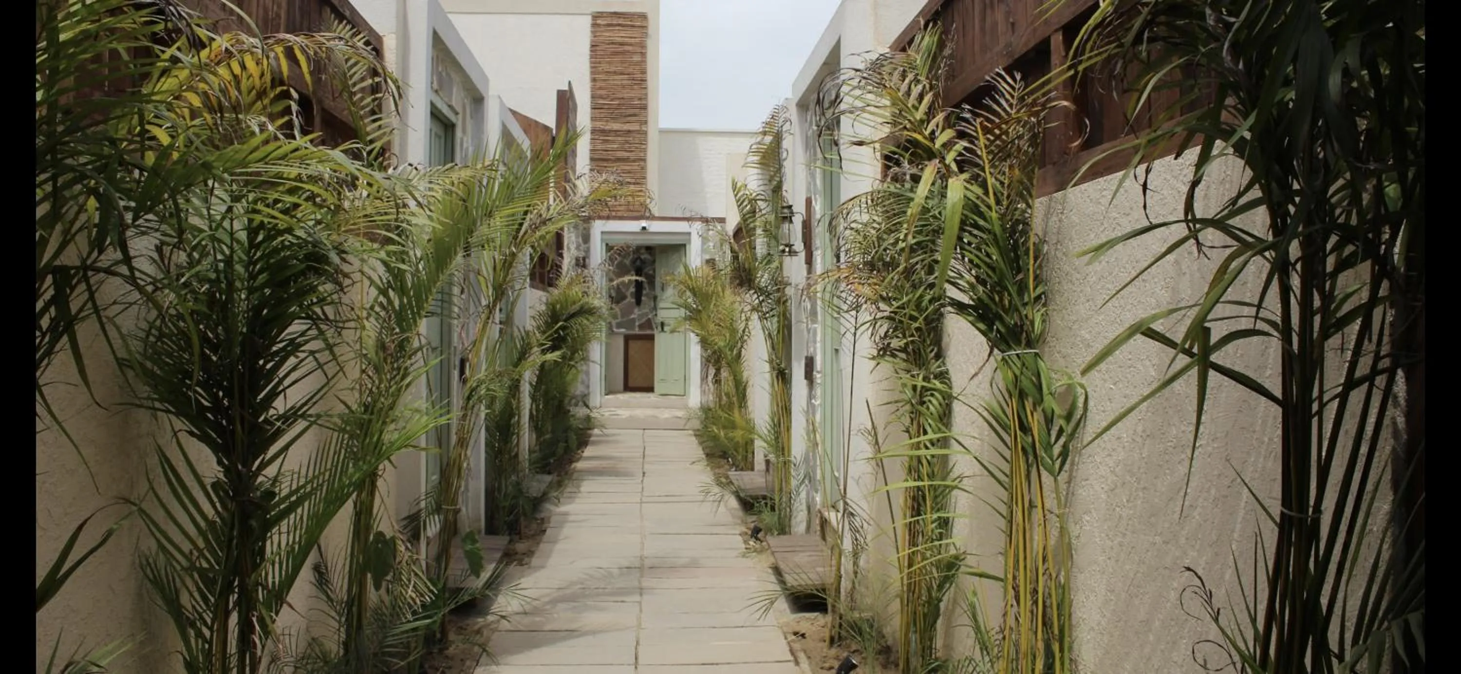Garden view in Cape House