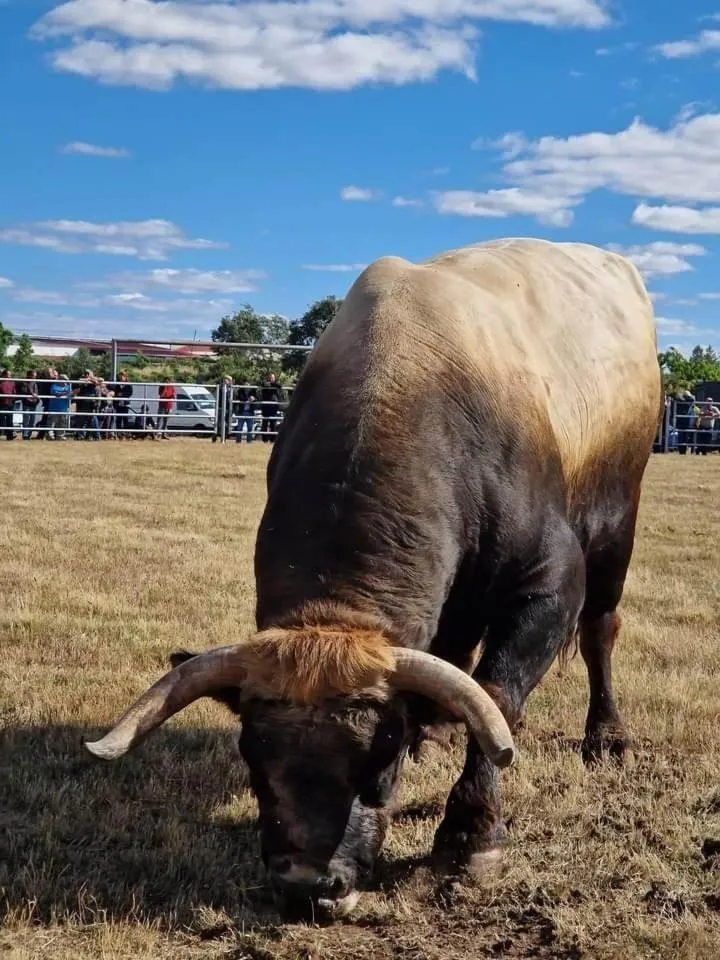 Hotel D Joao Miranda do douro
