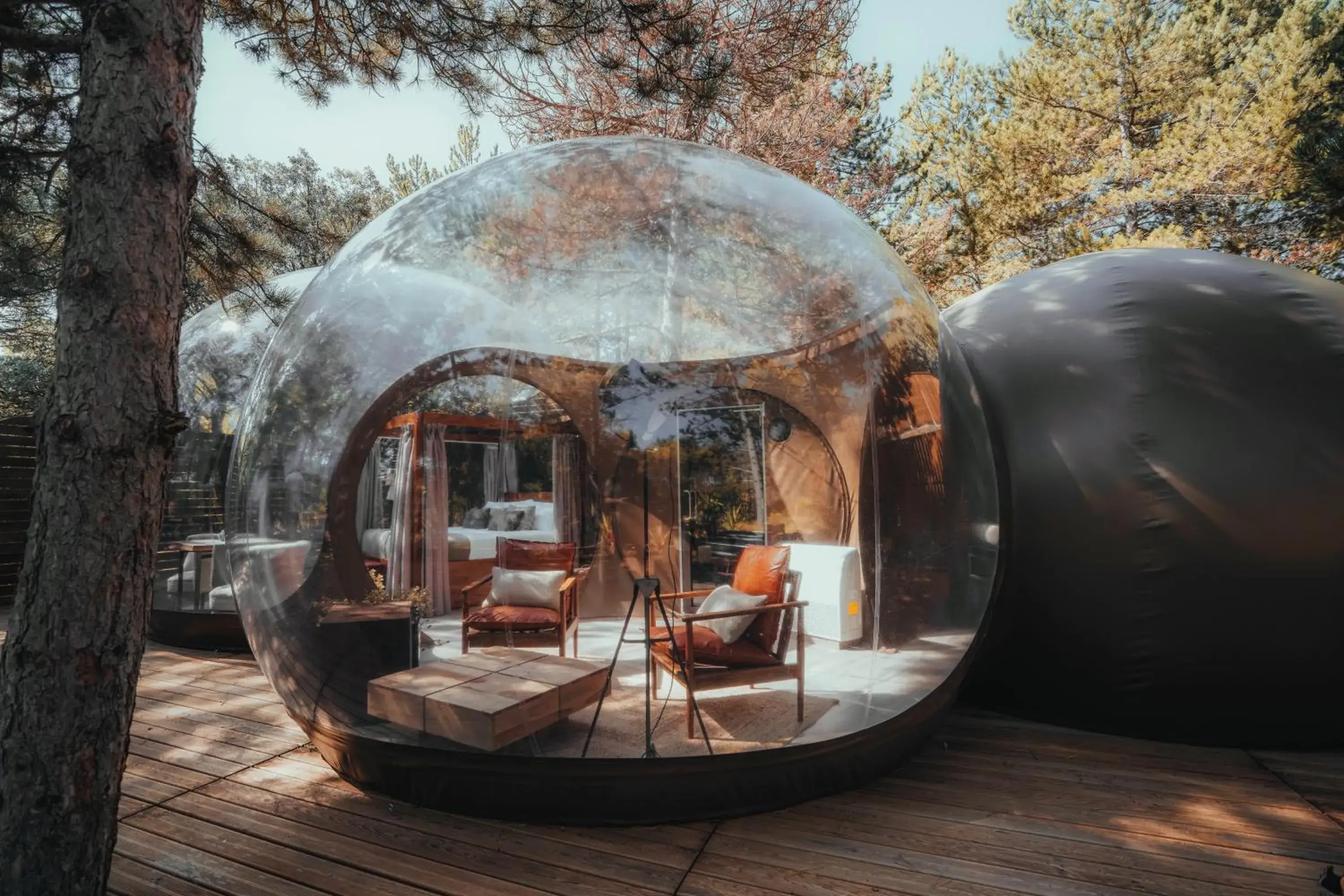 Double Room in Noctis Hotel Double Room in Noctis Hotel