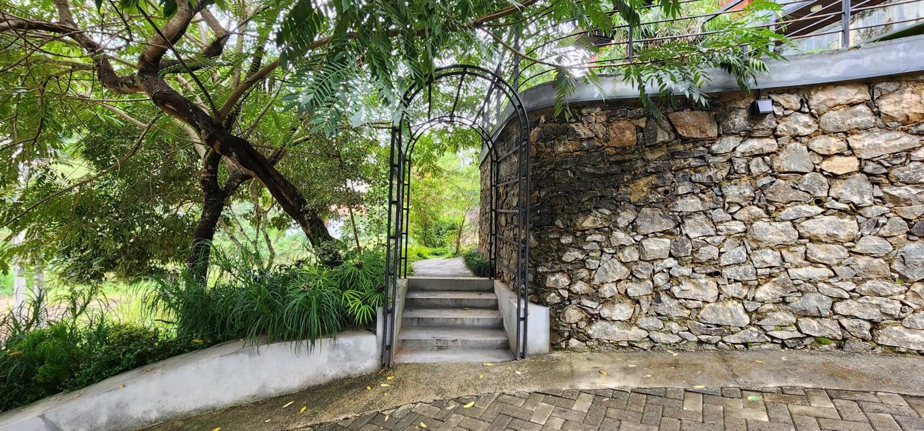 Spring in The Cubes Ella