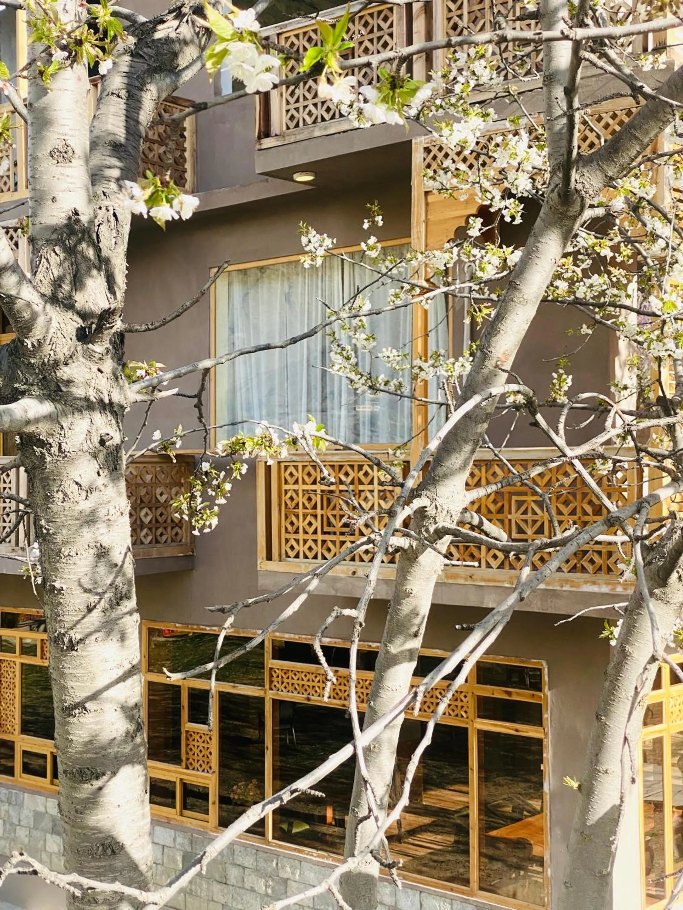 Balcony/Terrace in Dumani Nagar Hotel & Resort