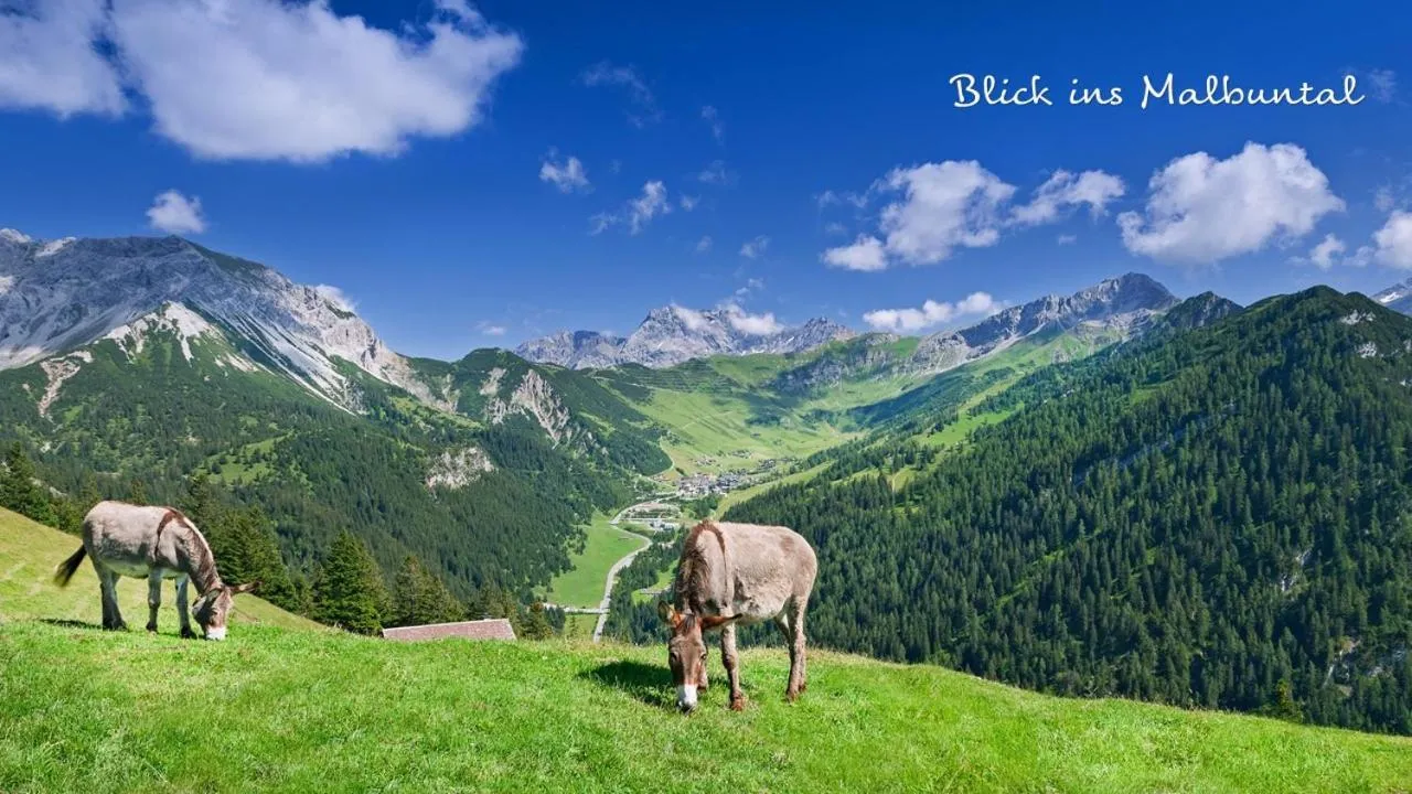 Day in Hotel Oberland