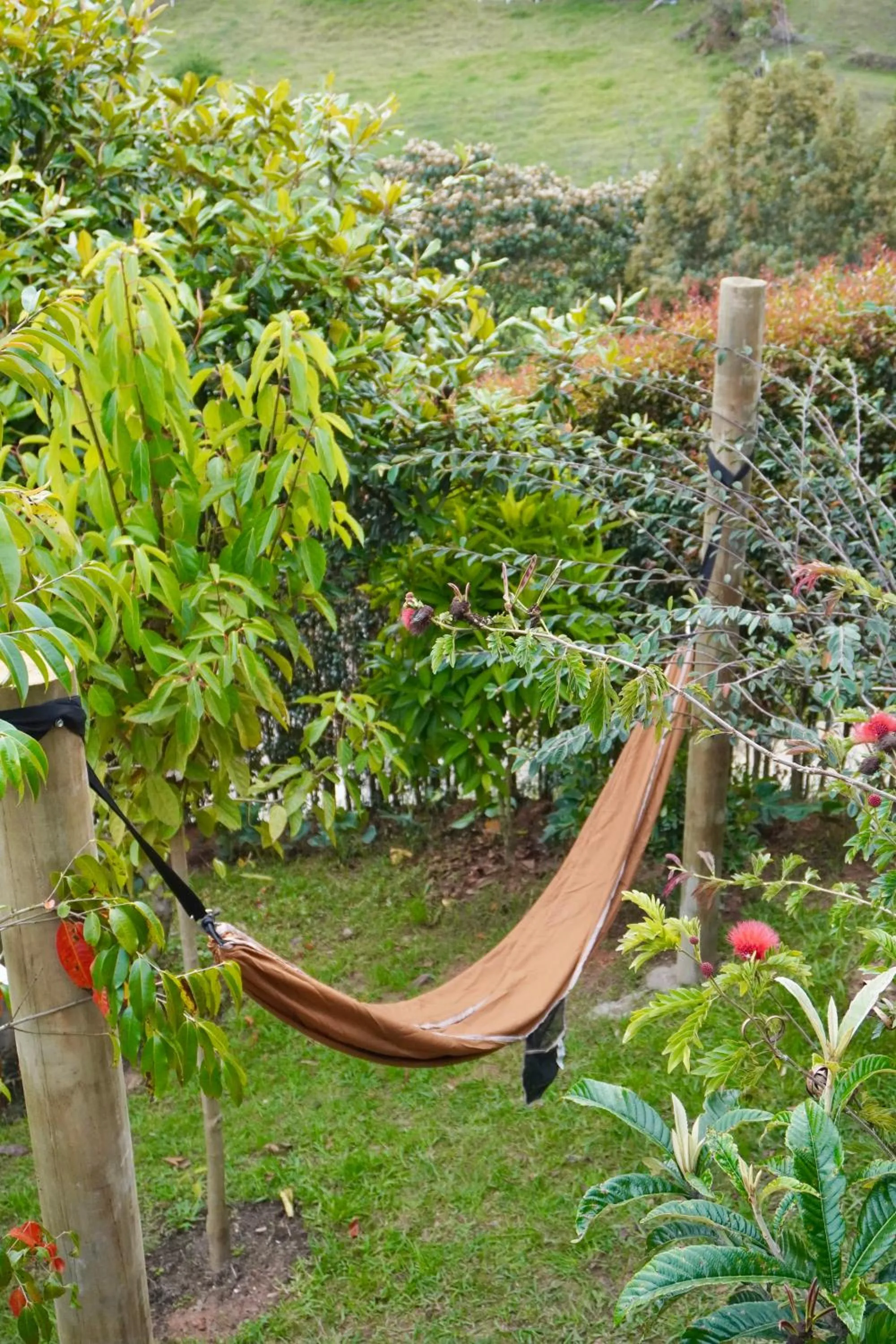 Cumbres Luxury Glamping