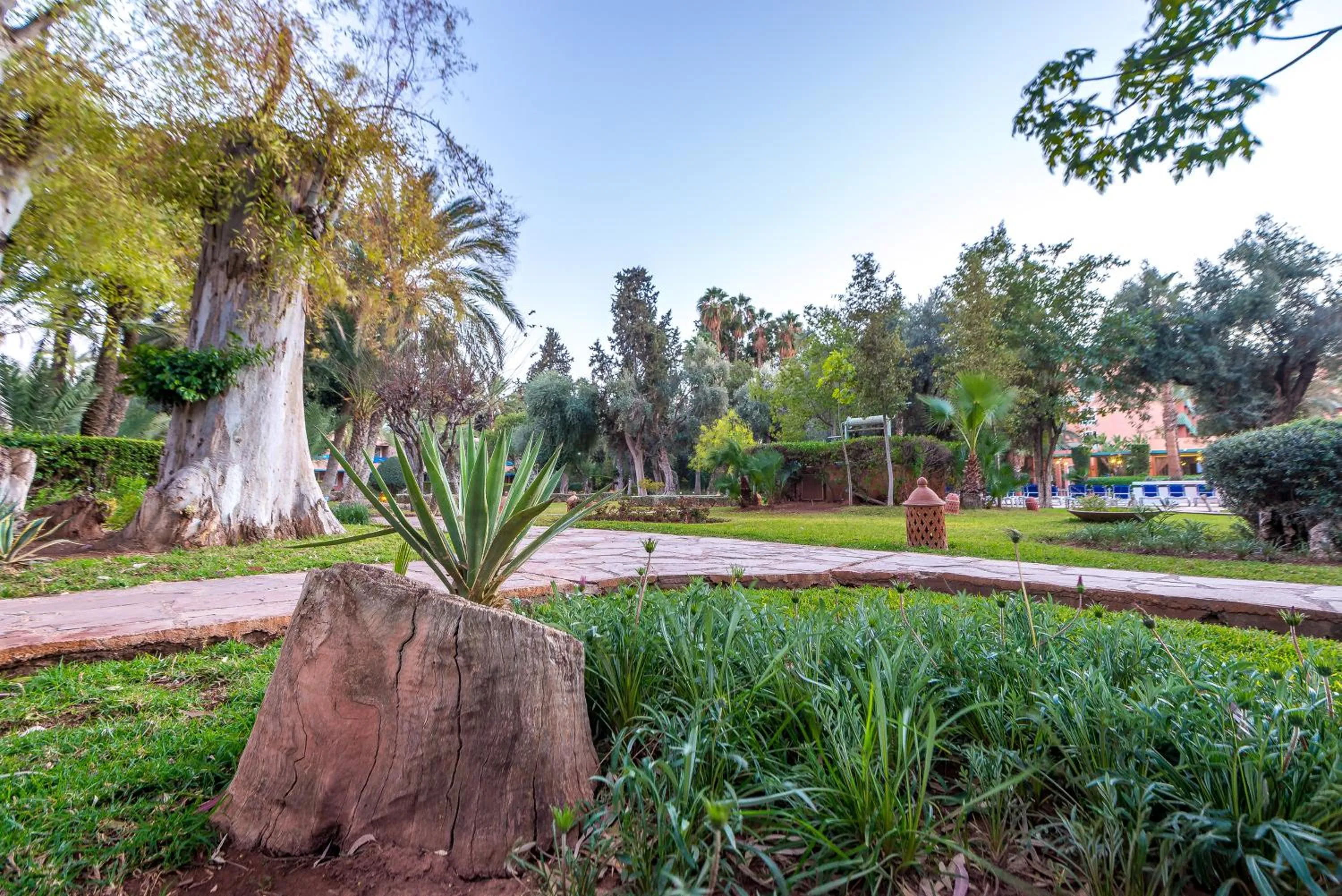 Garden in Kennedy Hospitality Resort