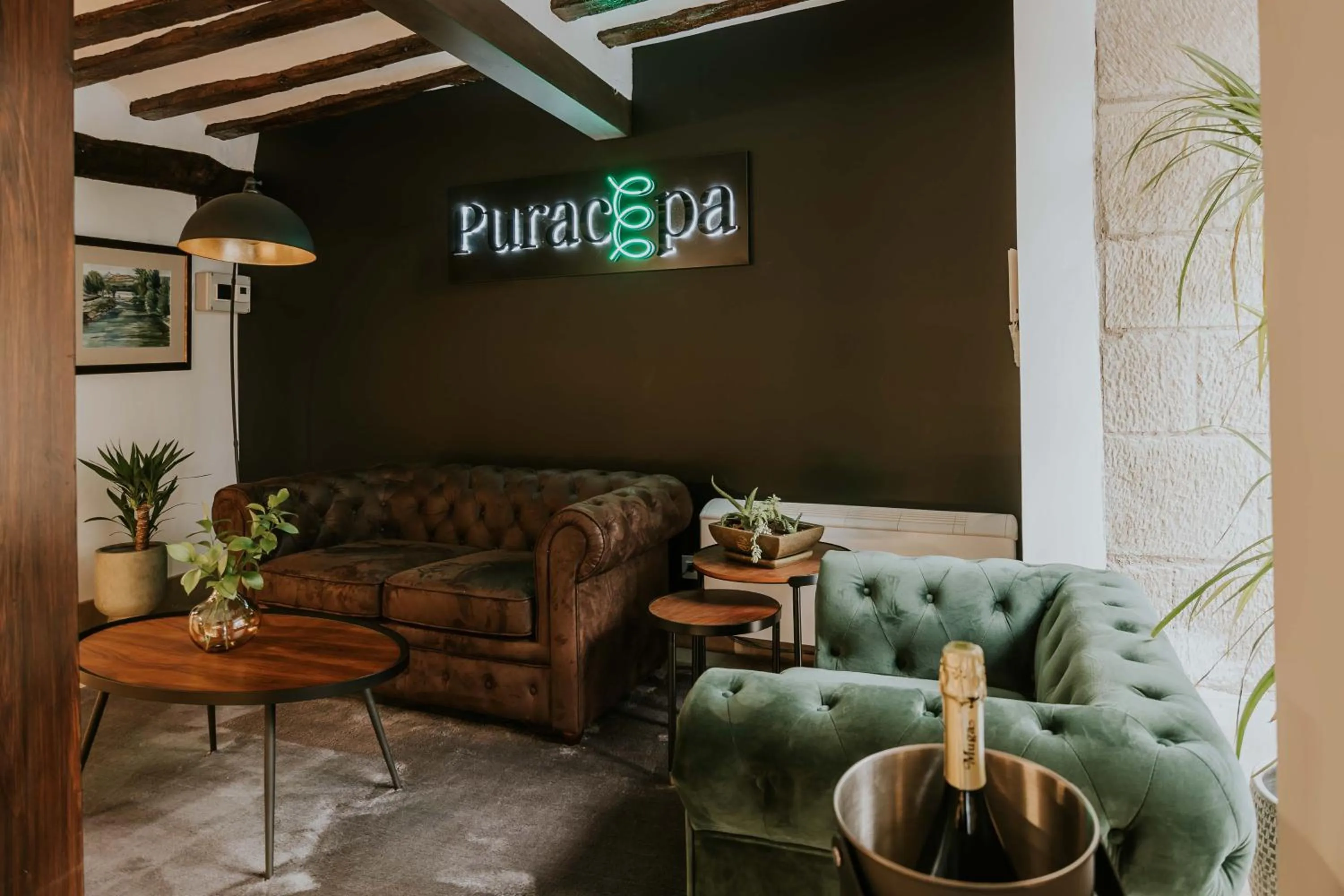 Living room in Puracepa - Urban Suites