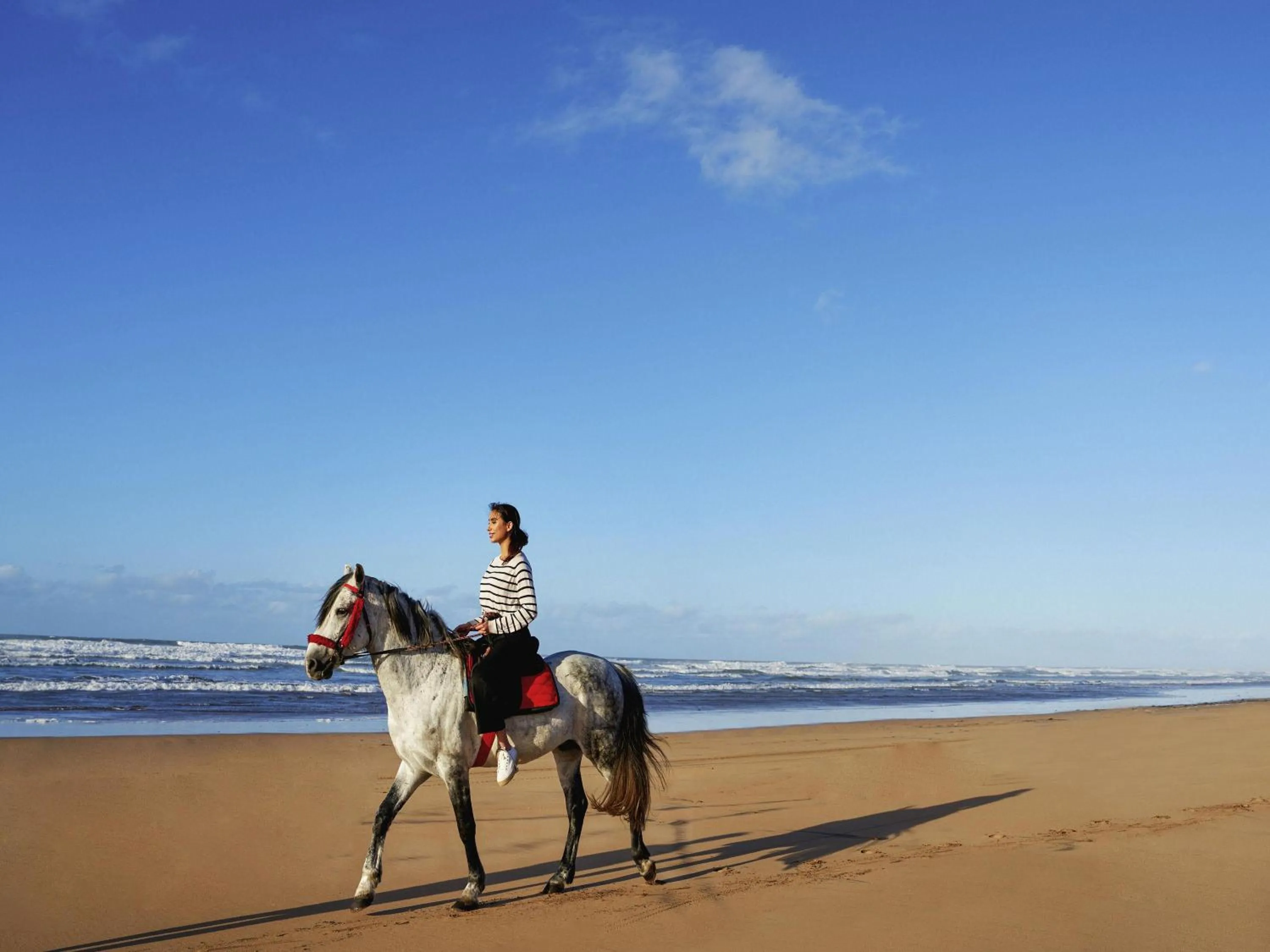 Other in Pullman Mazagan Royal Golf & Spa