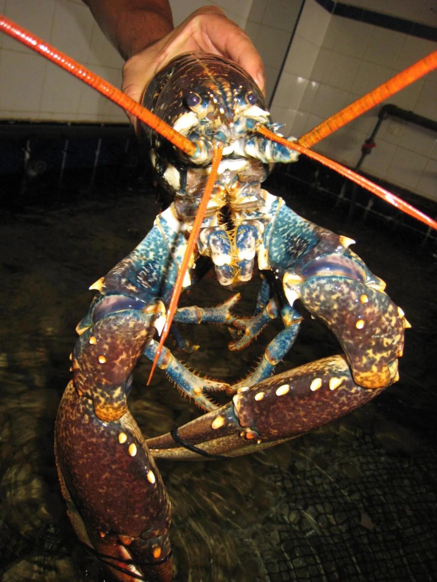 Other in Hotel L'Initiale