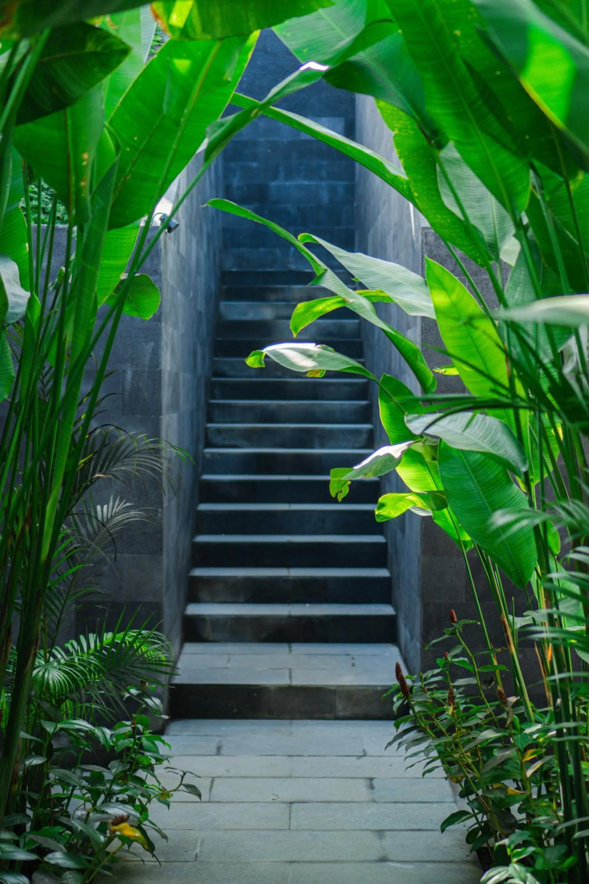 Property building in LeRosa Valley Resort