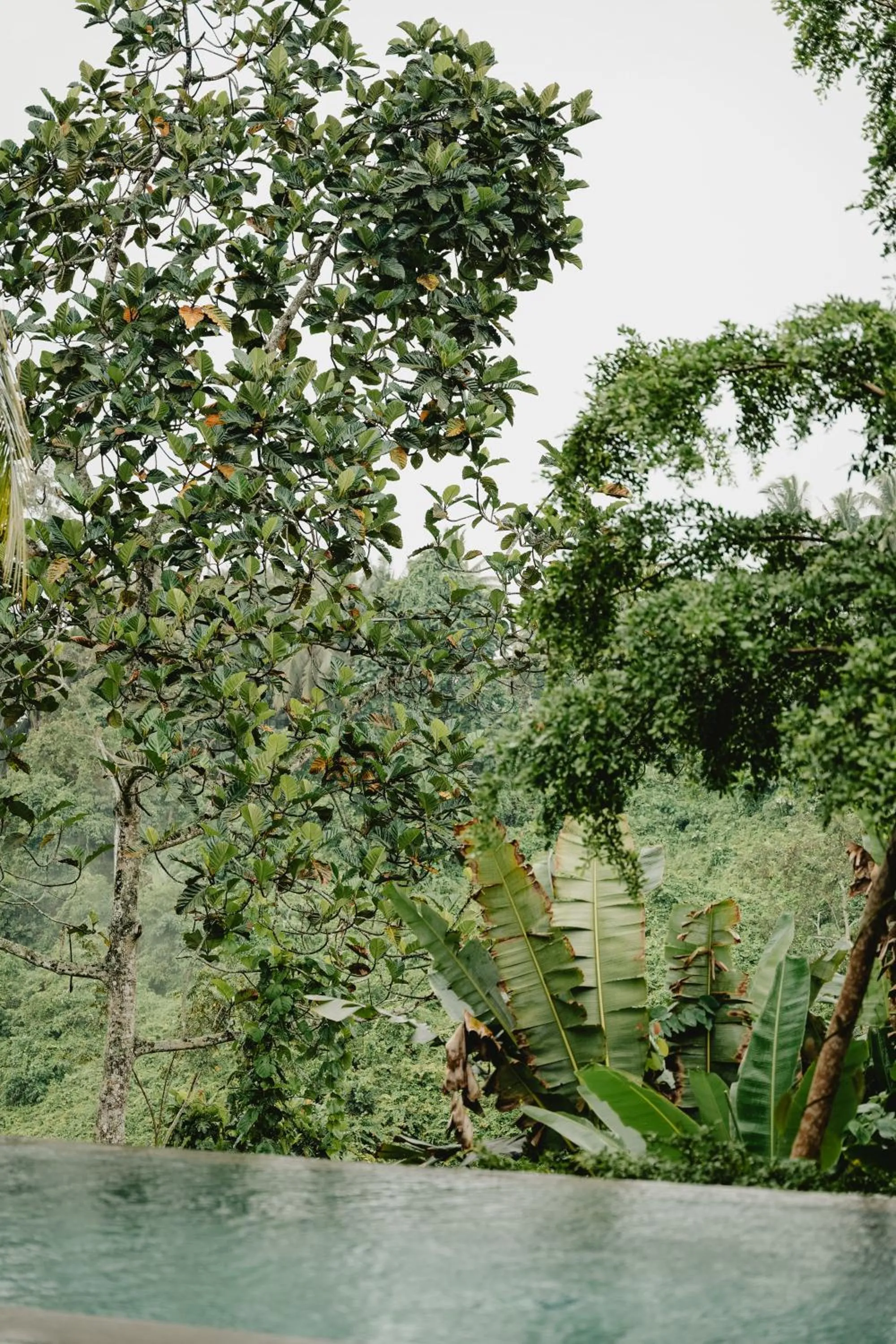 Natural landscape in LeRosa Valley Resort