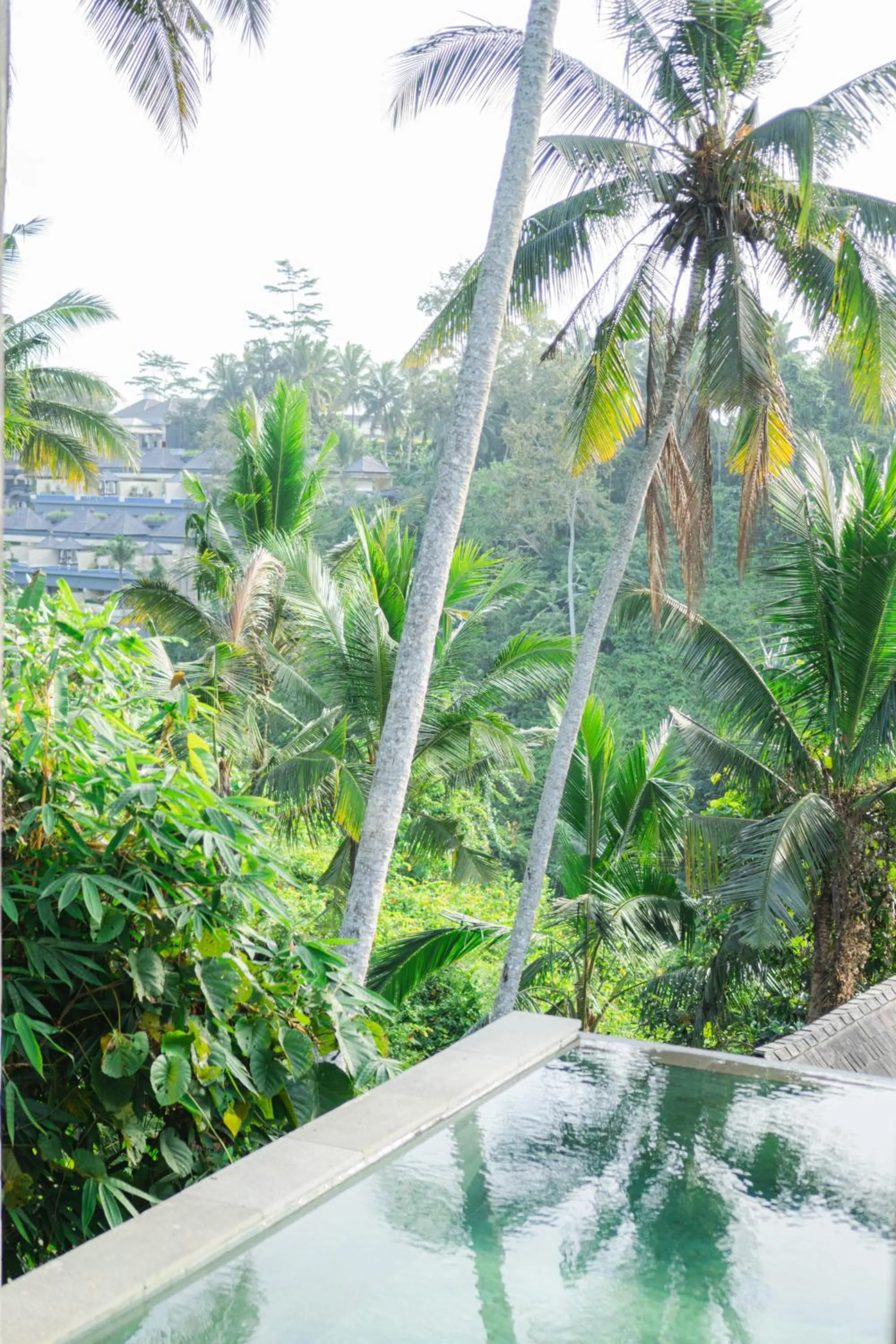 Swimming pool in LeRosa Valley Resort