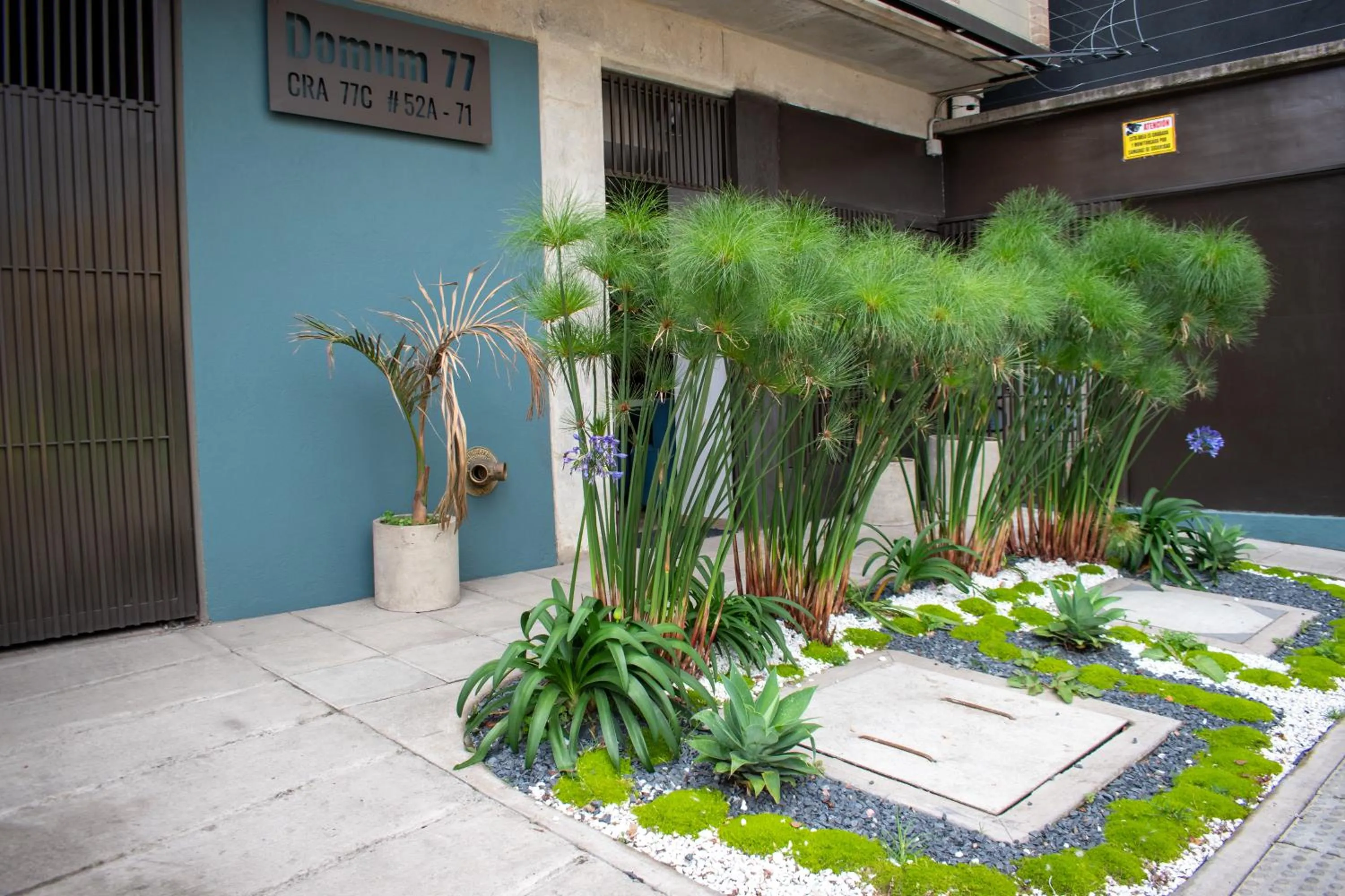 Garden in Cadena Hotelera Rey es