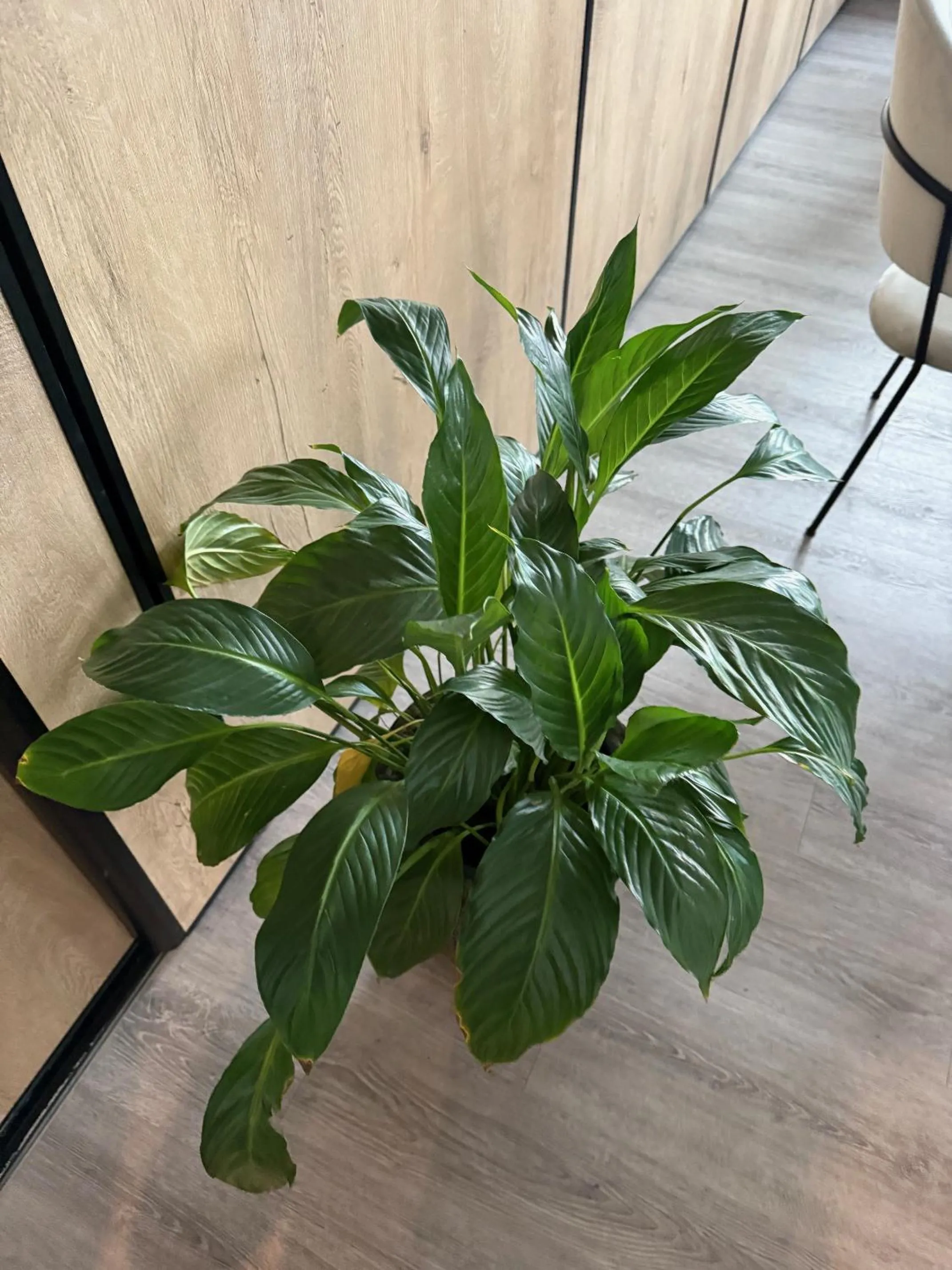 Lounge or bar in Hotel Kaiserhof