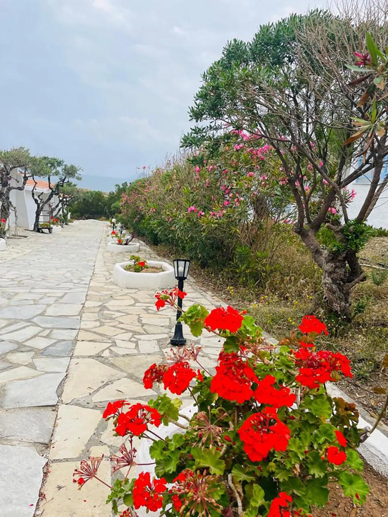 Bedroom in Lassion Hotel
