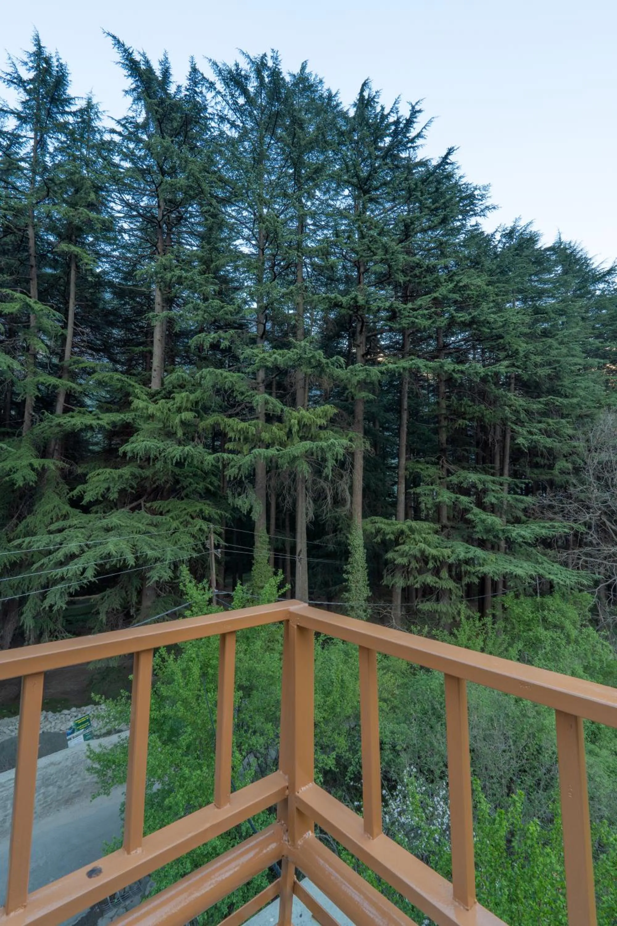 Natural landscape in Holiday Home International -Vivaan Stays