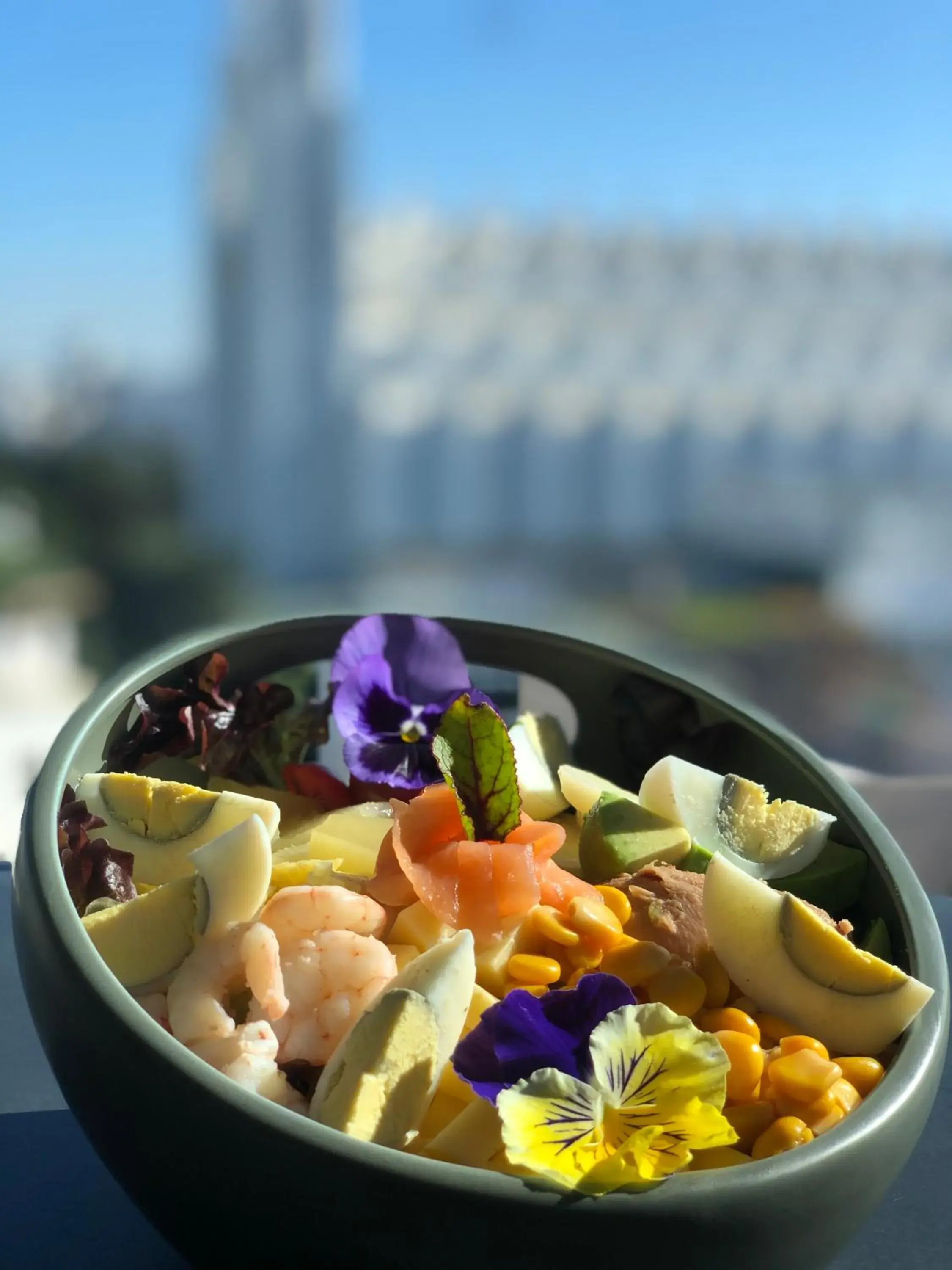 Restaurant/places to eat in JM Suites Hotel Eco-Friendly Casablanca Restaurant/places to eat in JM Suites Hotel Eco-Friendly Casablanca