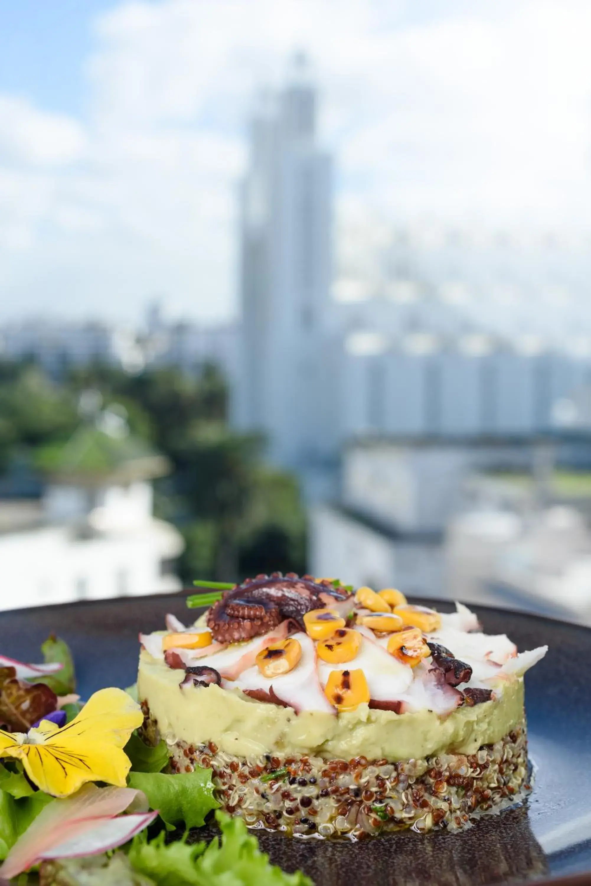 Restaurant/places to eat in JM Suites Hotel Eco-Friendly Casablanca Restaurant/places to eat in JM Suites Hotel Eco-Friendly Casablanca