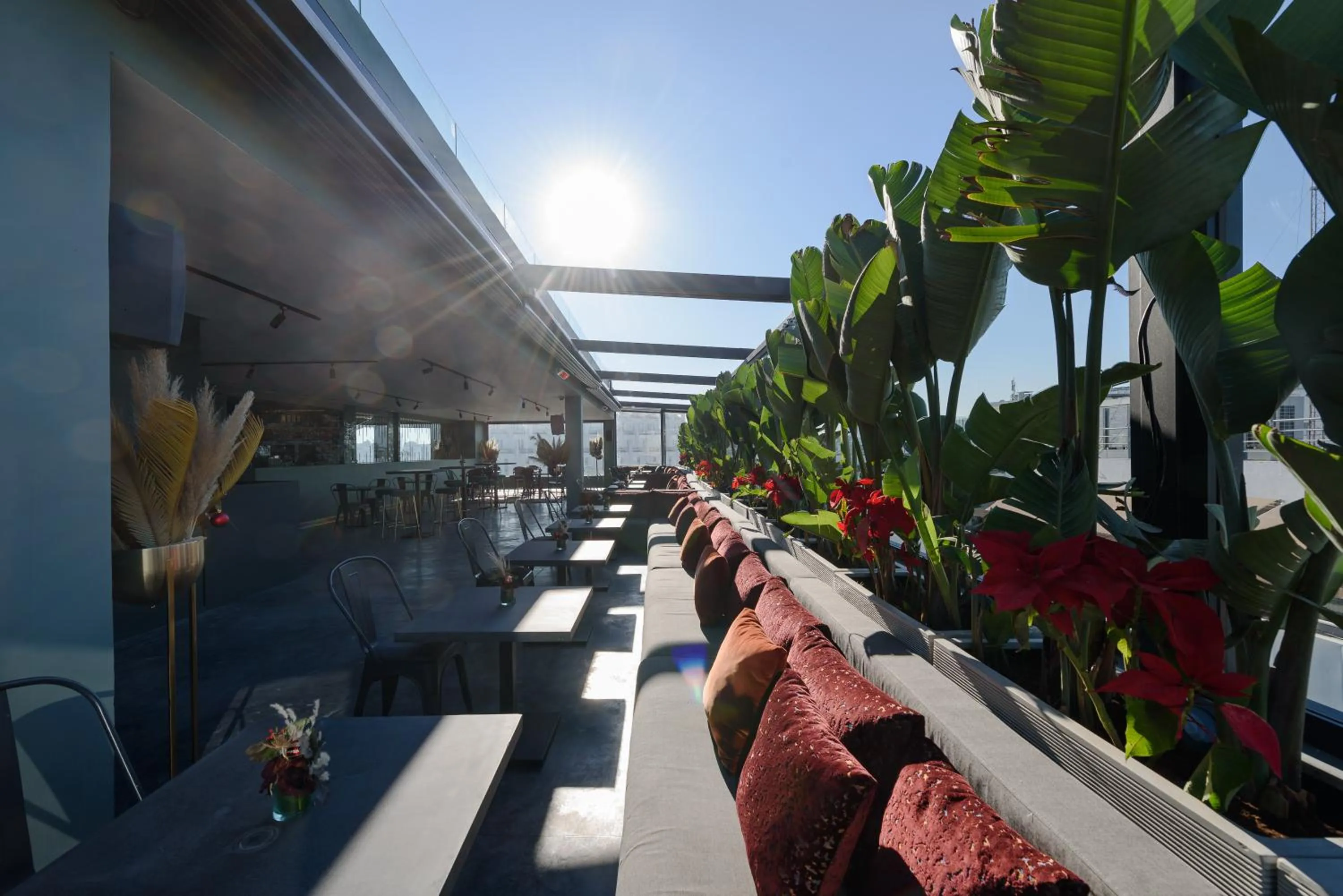 Restaurant/places to eat in JM Suites Hotel Eco-Friendly Casablanca