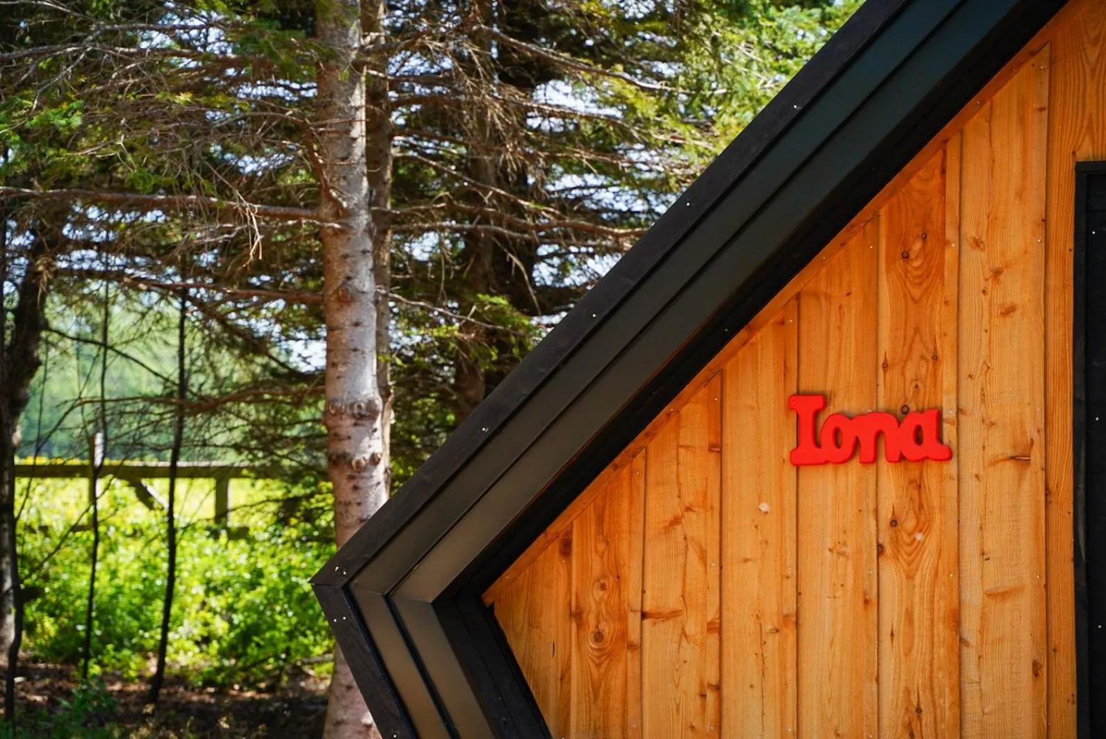 Property building in Wild Pines Cabins