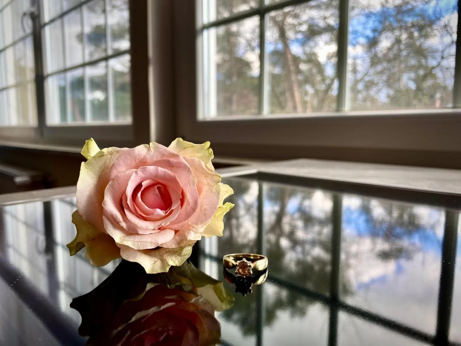 Residence Black Eagle Lubmin Strand