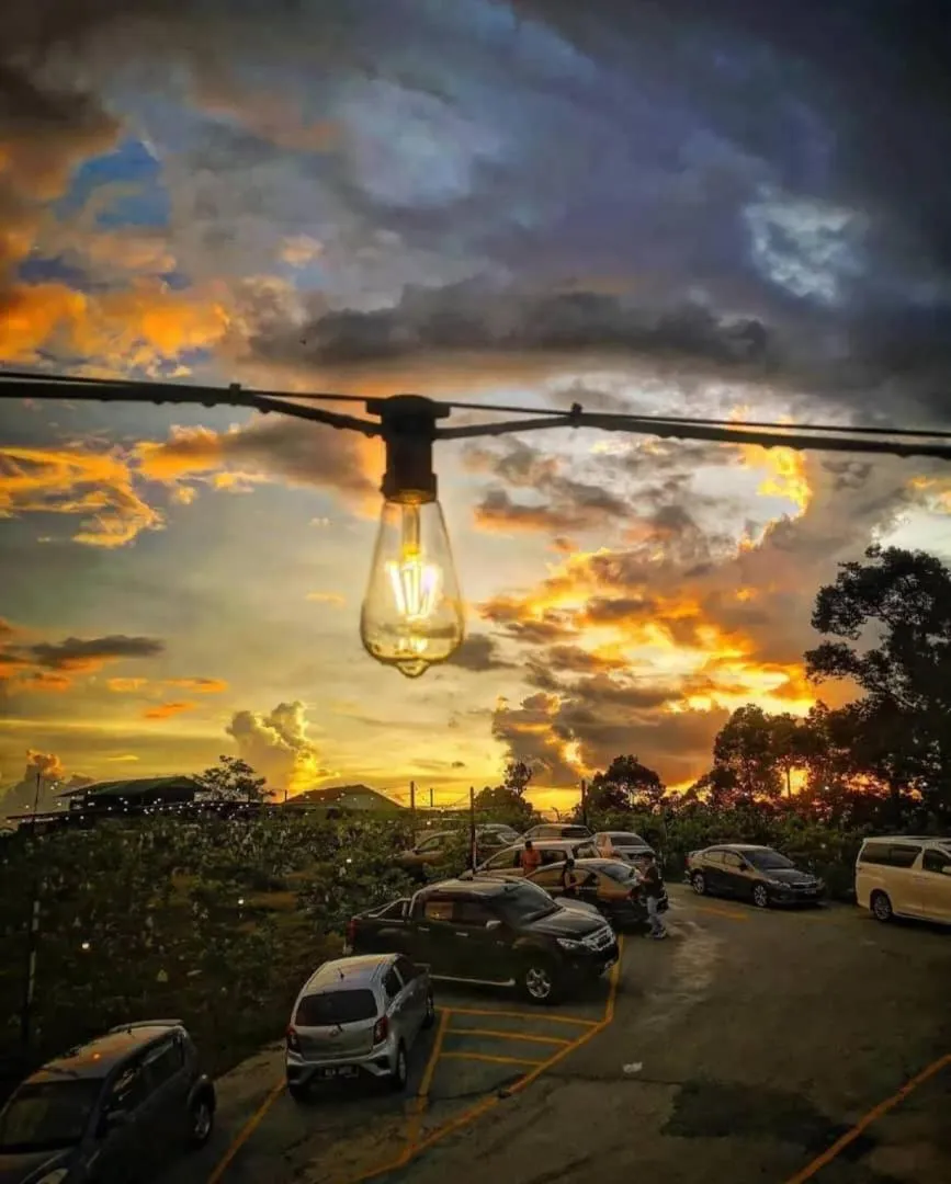 Garden view in I Do Farmstay