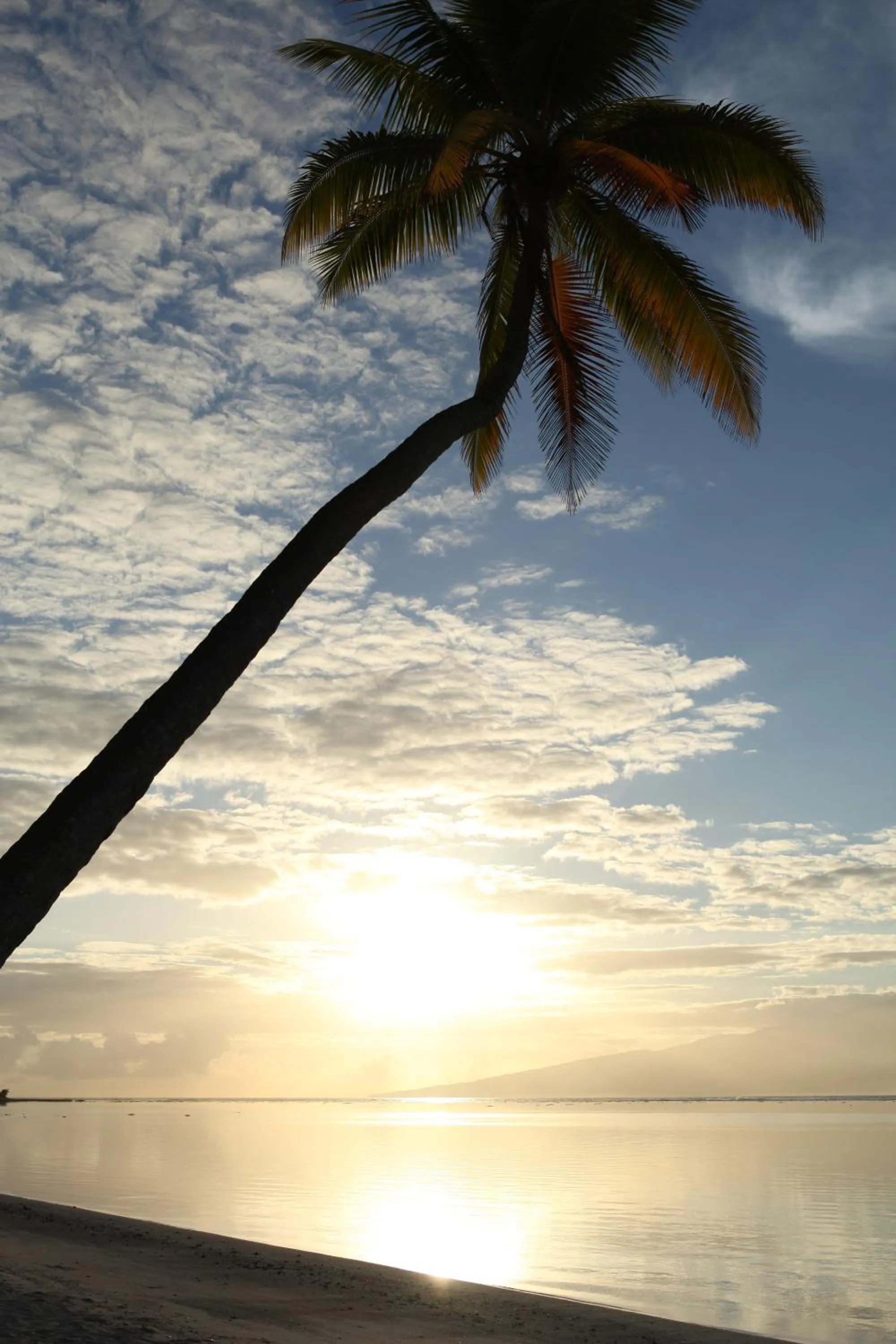 Sea view in Sofitel Kia Ora Moorea Beach Resort