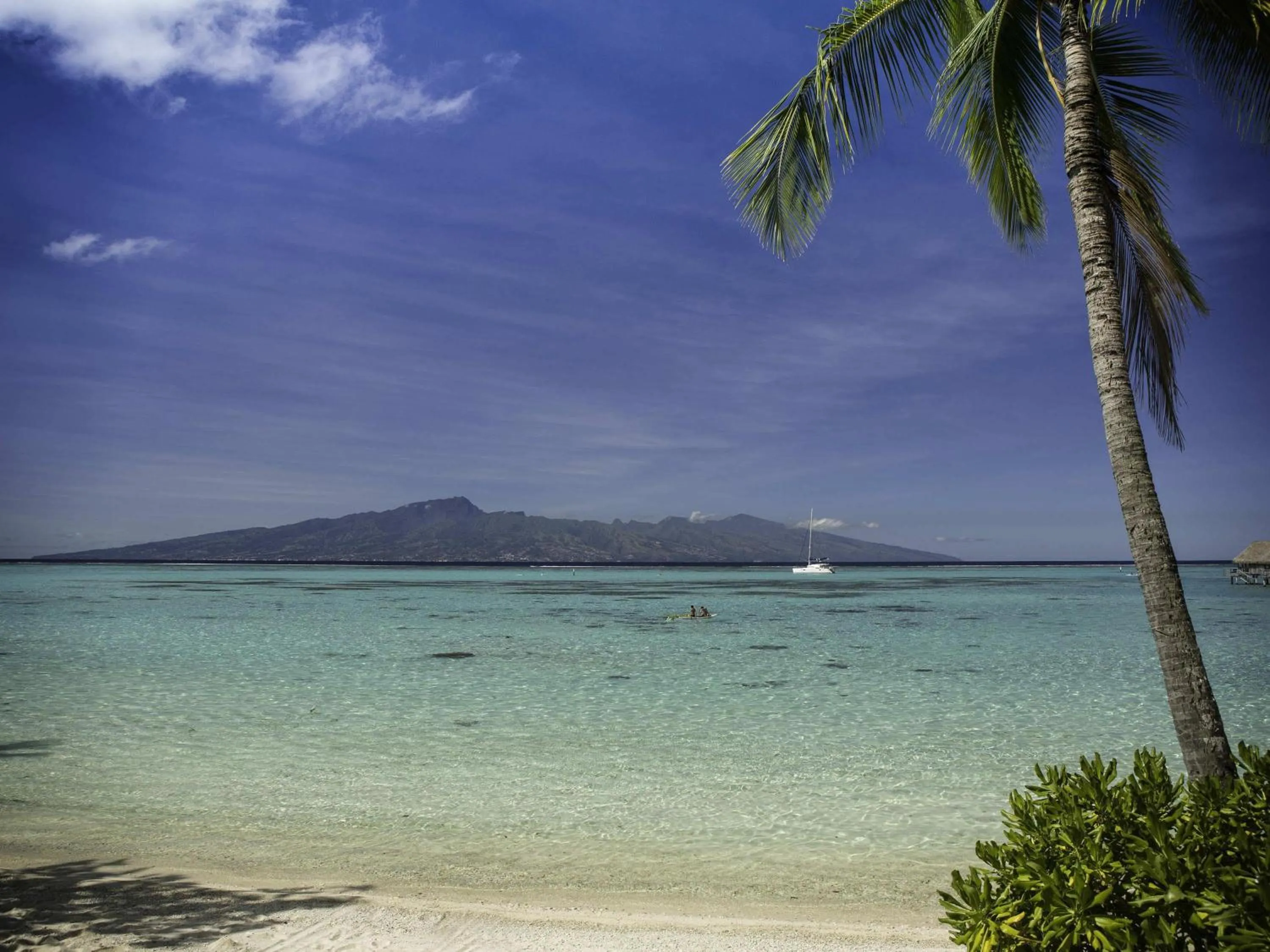 Lounge or bar in Sofitel Kia Ora Moorea Beach Resort