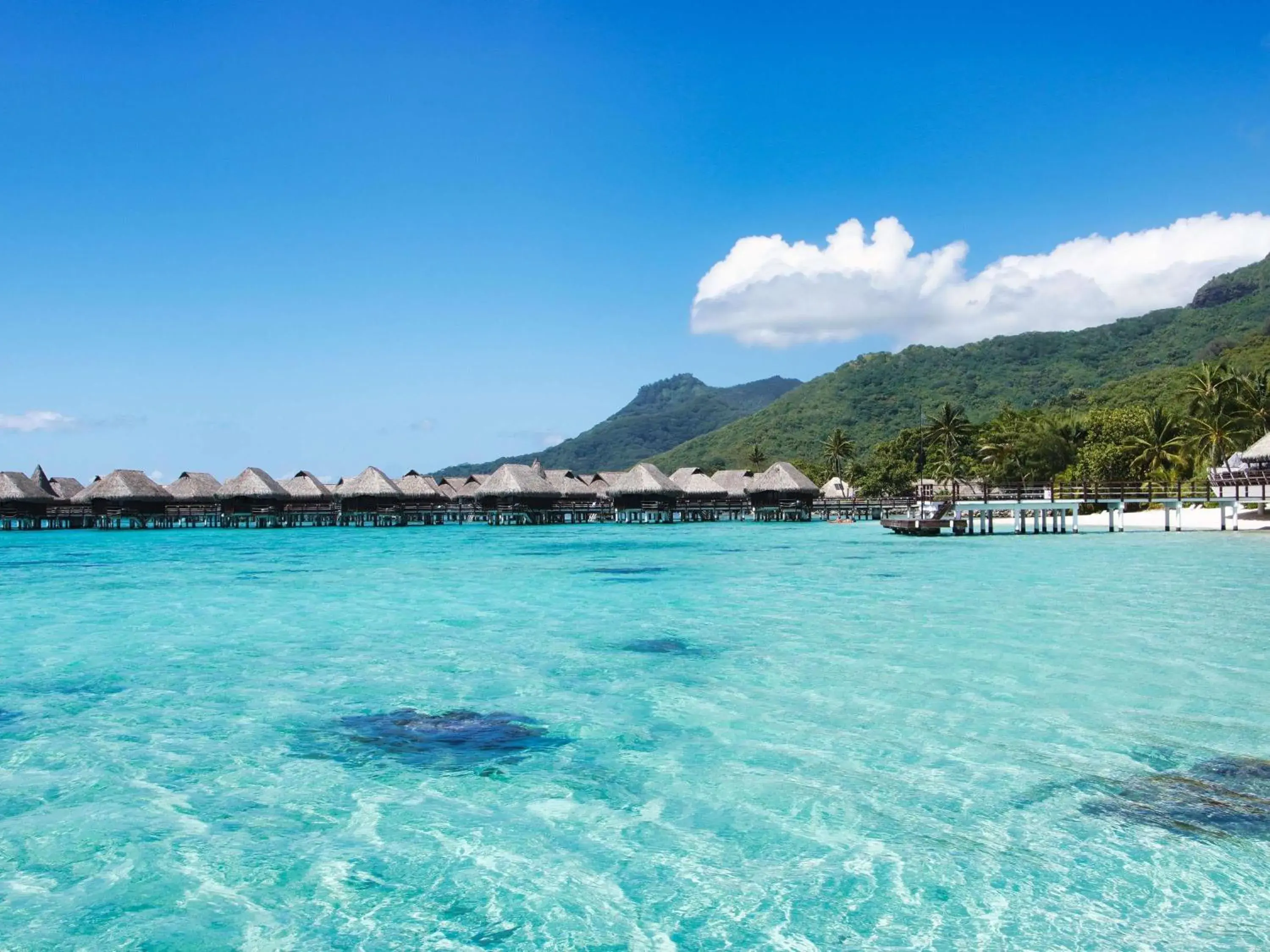 Bedroom in Sofitel Kia Ora Moorea Beach Resort Bedroom in Sofitel Kia Ora Moorea Beach Resort