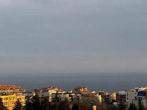 Buongiorno! Premium