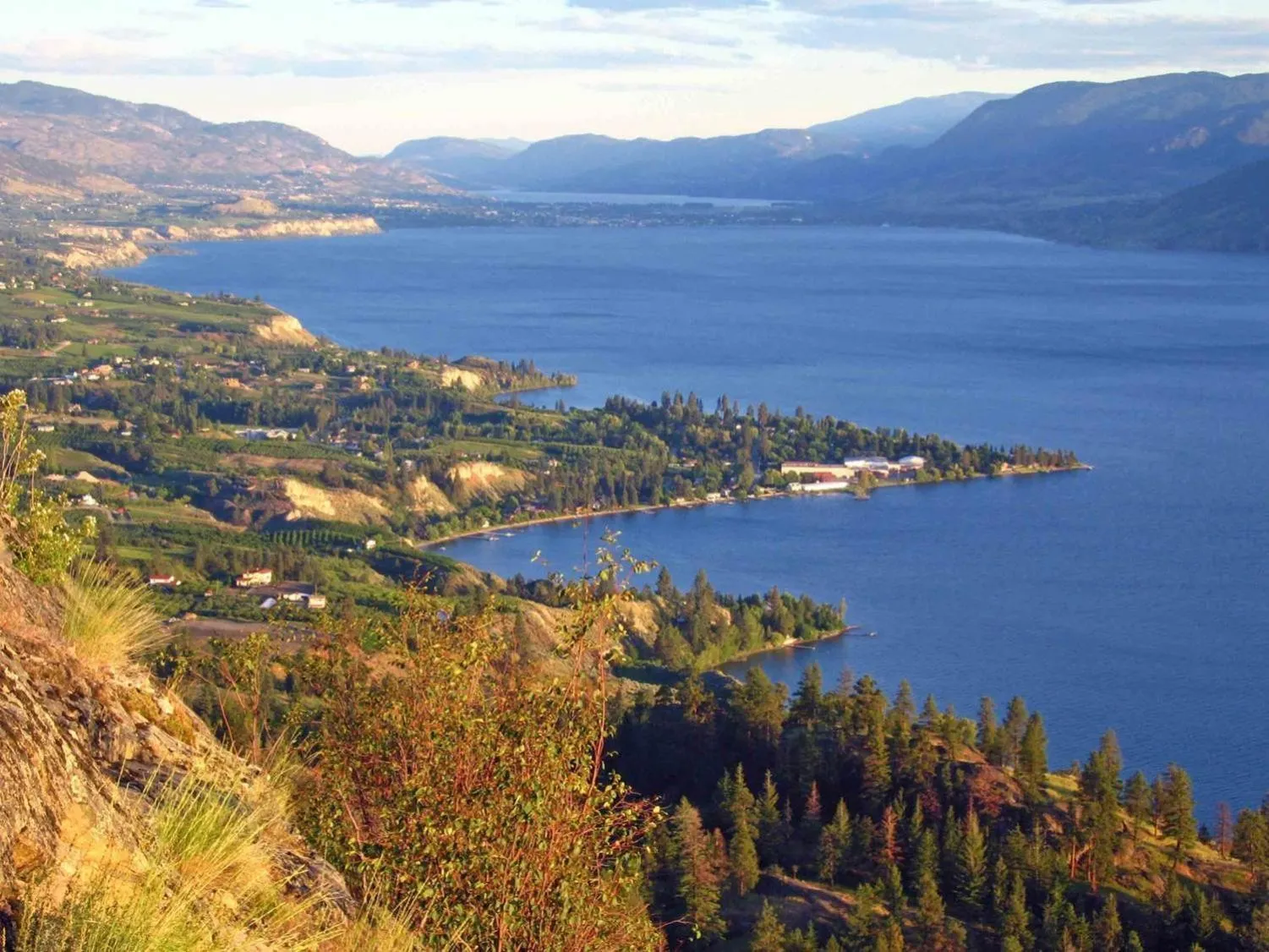 Bird's eye view in Naramata Centre