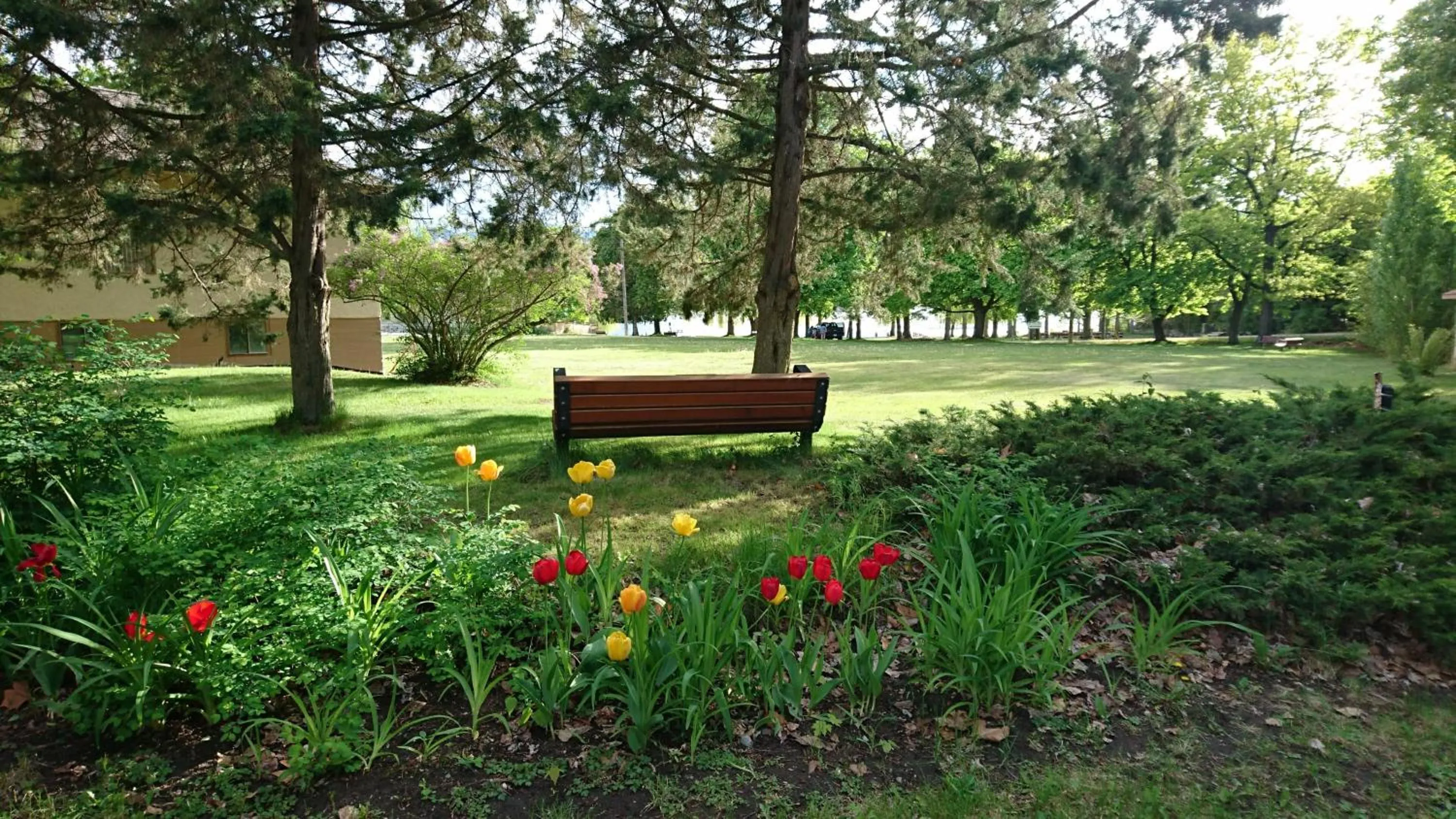 Garden in Naramata Centre