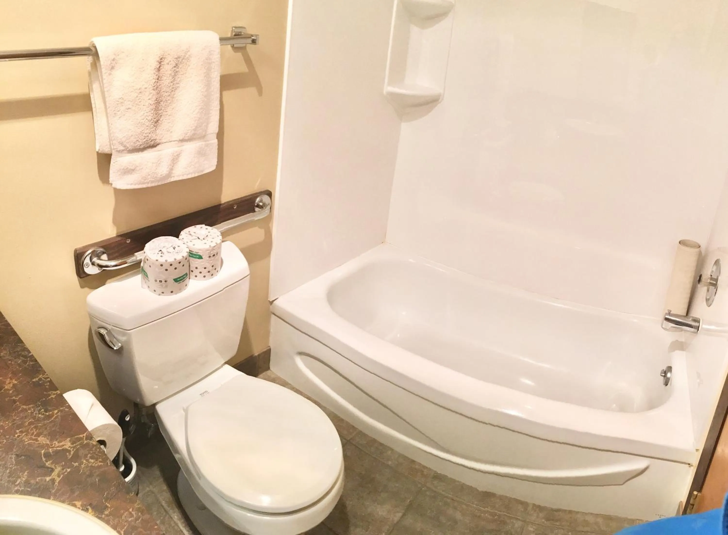 Toilet in Naramata Centre