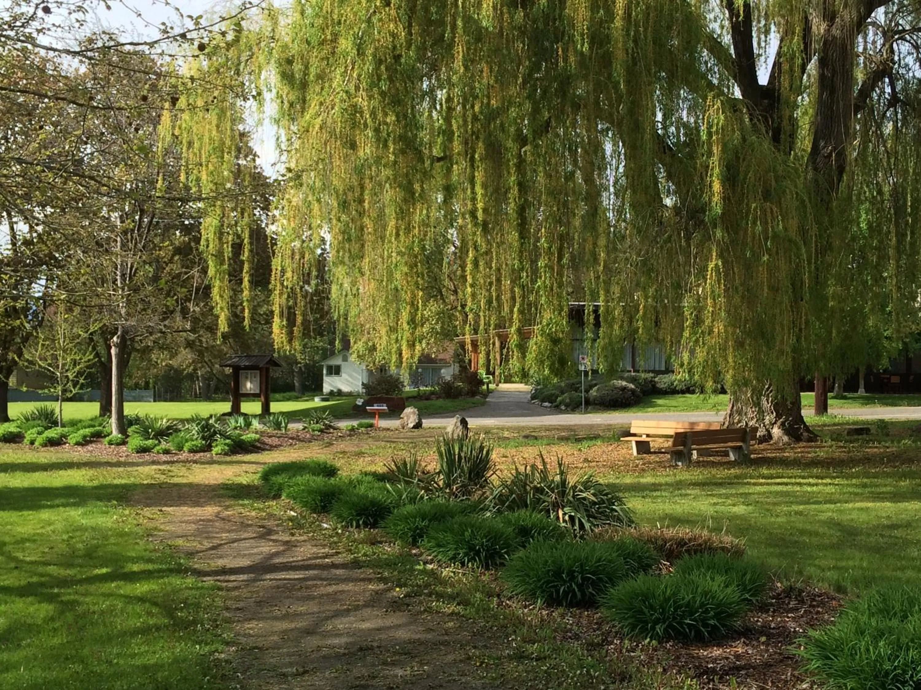 Garden in Naramata Centre
