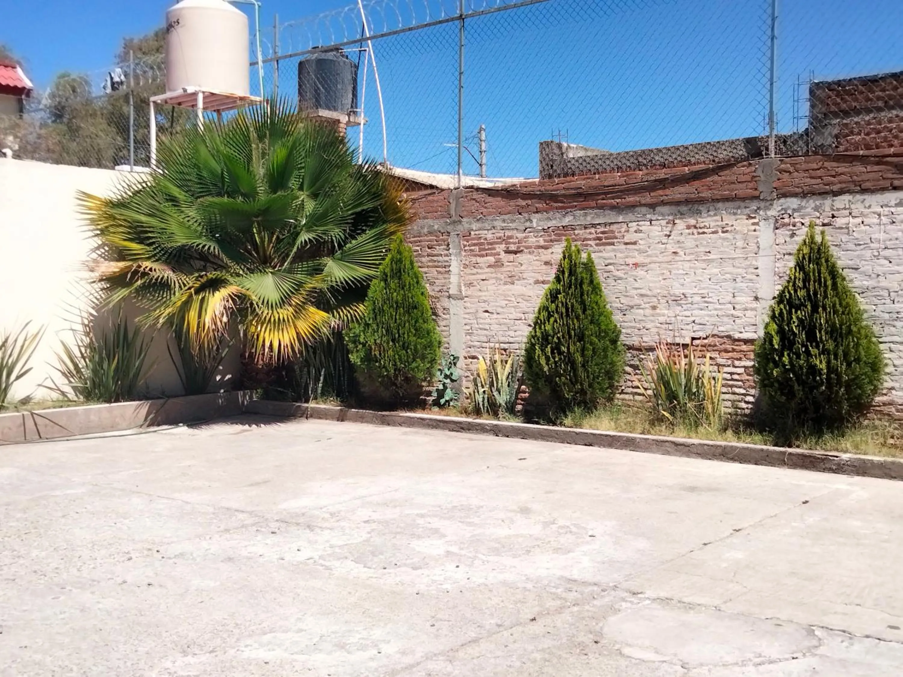 Garden in Abitare Durango By Grupo Salazar