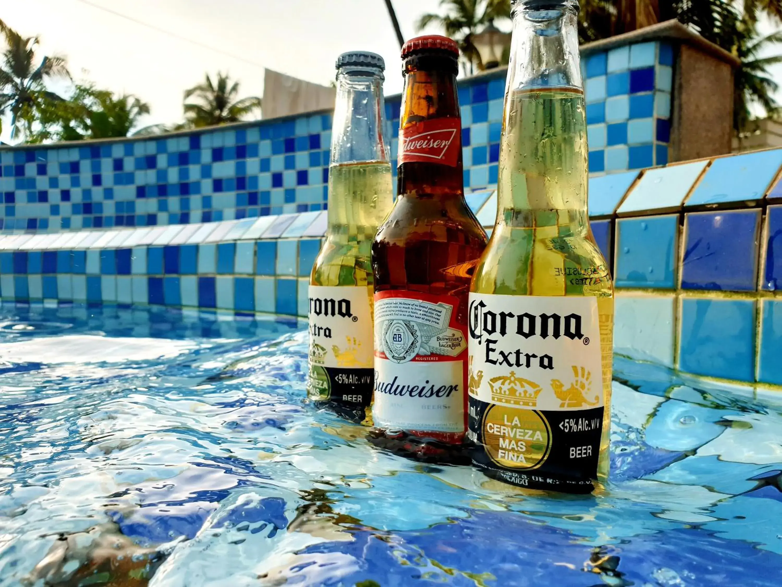 Swimming pool in Red Sea Beach Resort Swimming pool in Red Sea Beach Resort